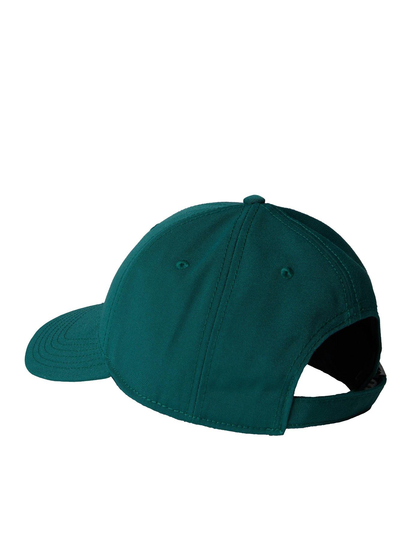  image of the-north-face-66-classic-hat-green