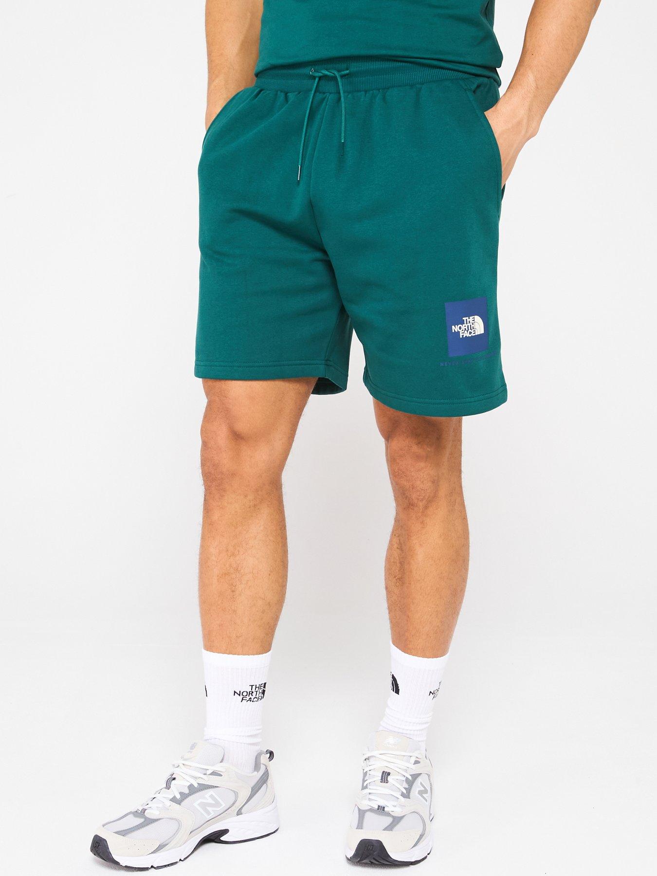 the-north-face-mens-box-nse-regular-shorts-green