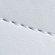 FTWR_WHITE/FTWR_WHITE/FT_WHITE