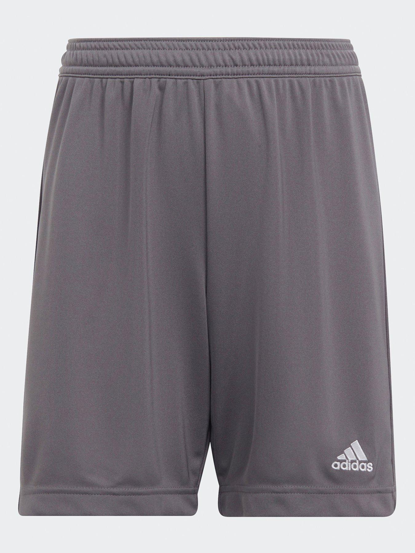 adidas Entrada22 Shorts Youth - Grey