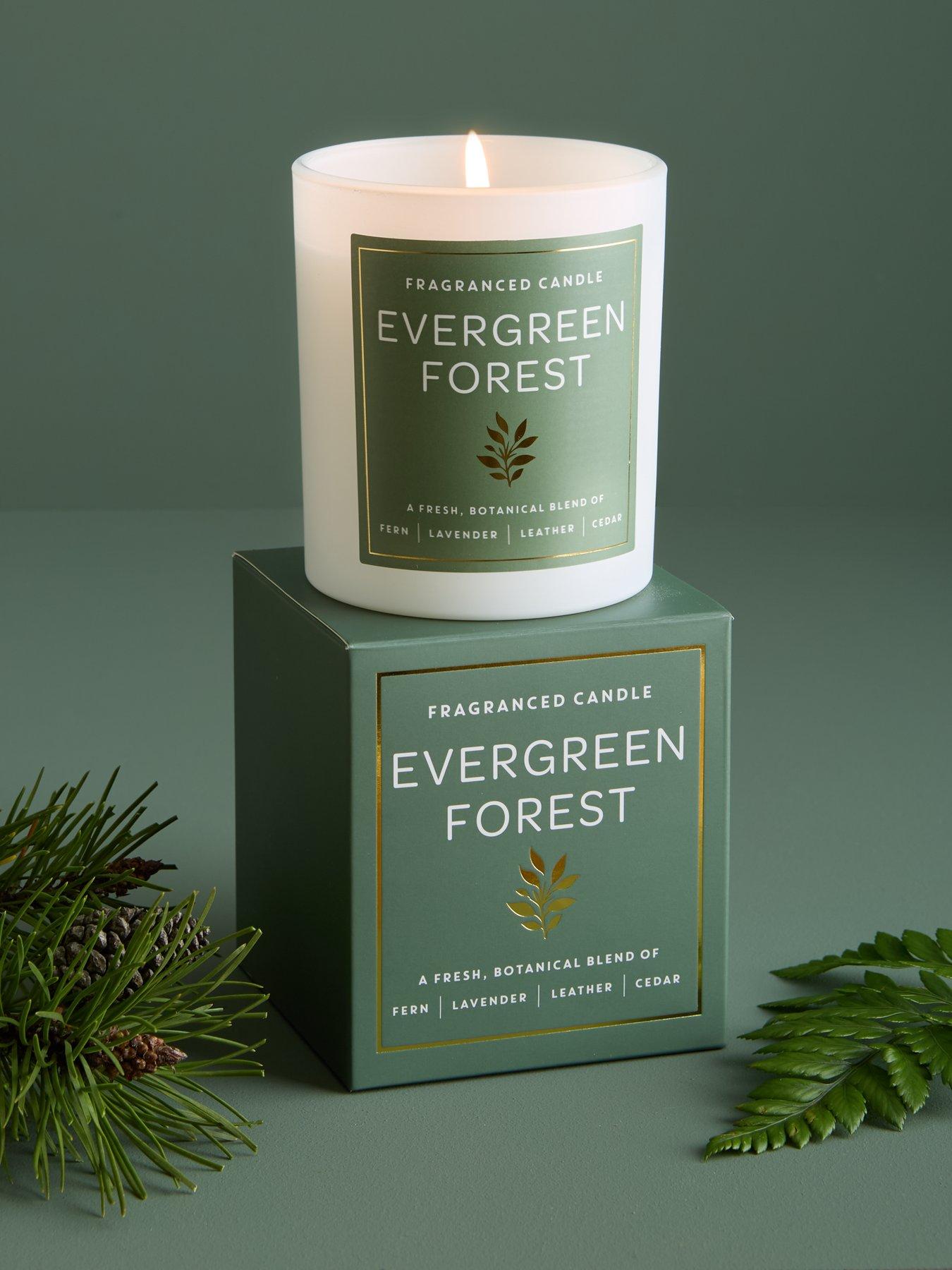 Very Home Evergreen Forest