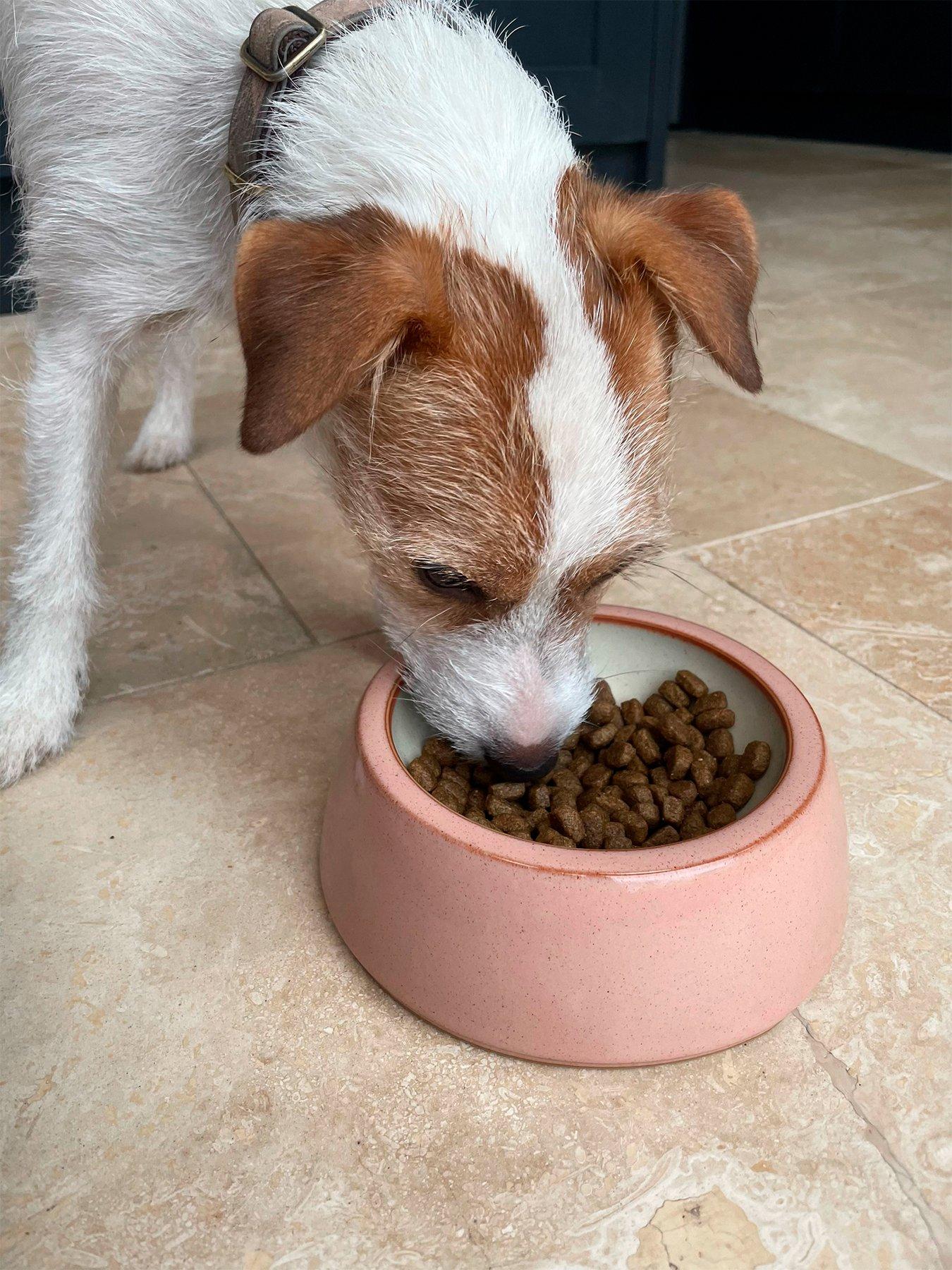 denby-heritage-piazza-small-pet-bowl-pink