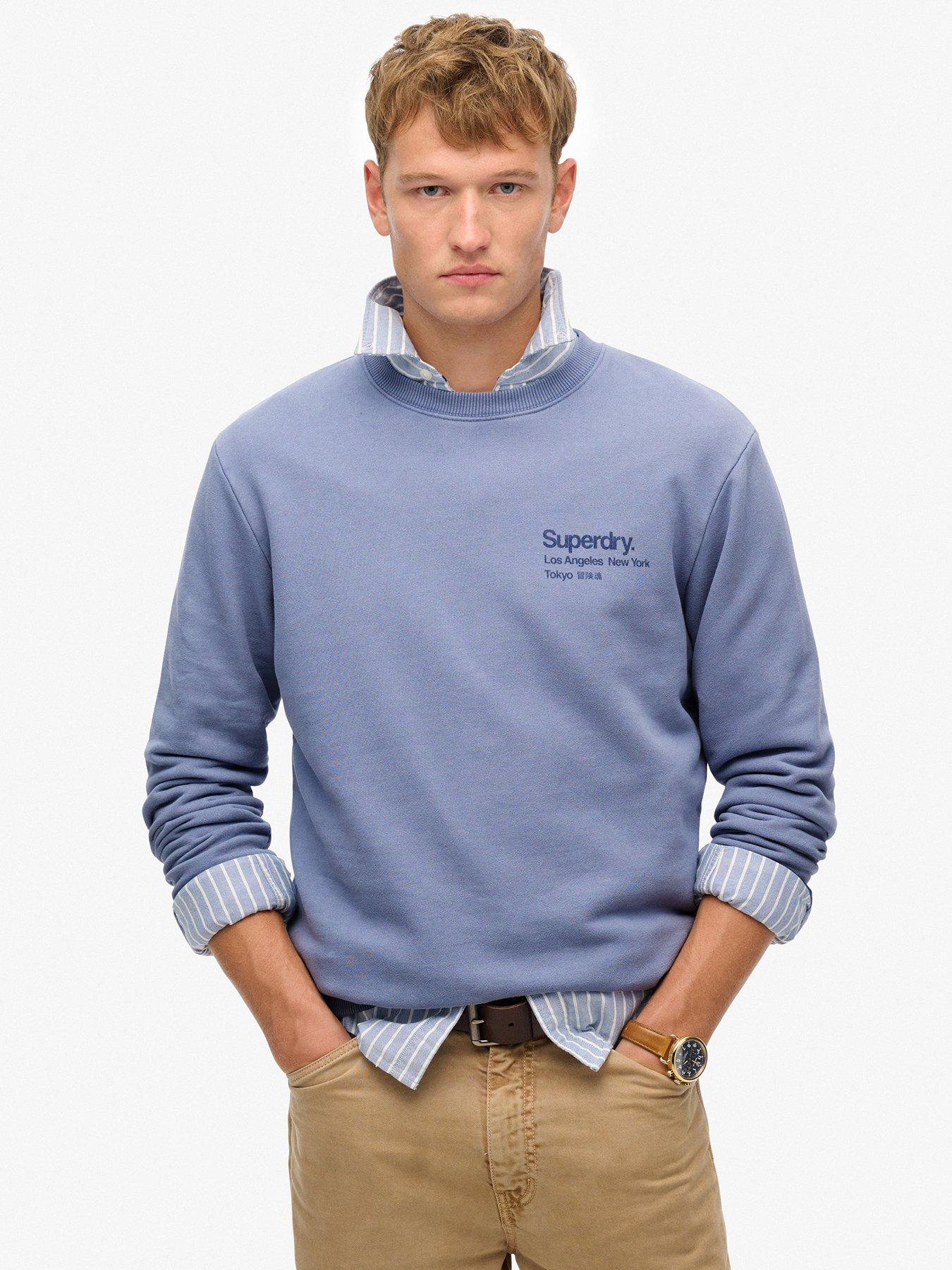 front image of superdry-core-logo-city-backhit-crew-sweat-top-light-blue