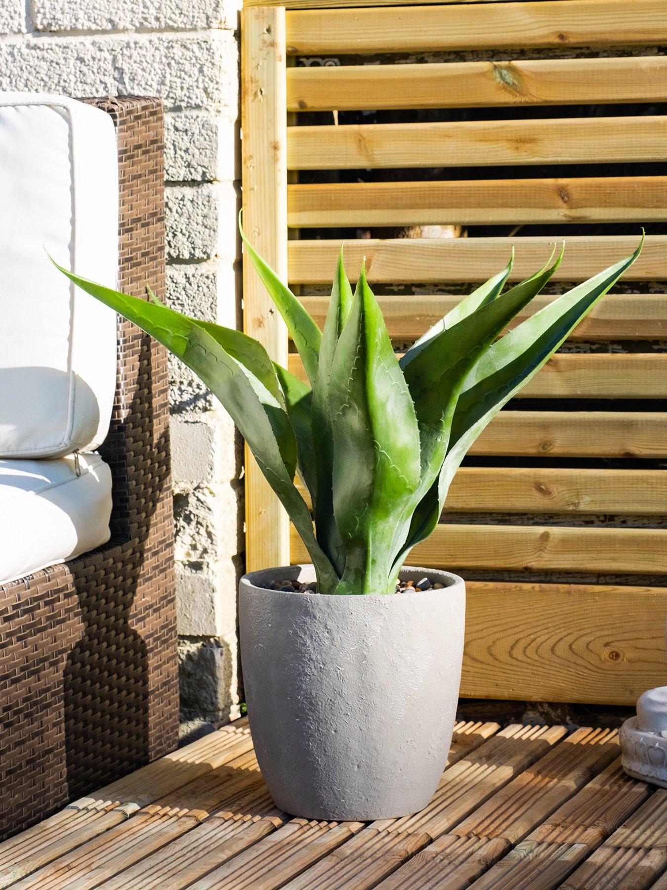 Scottish Everlastings OUTDOOR 57cm Artificial Agave in Grey Pot