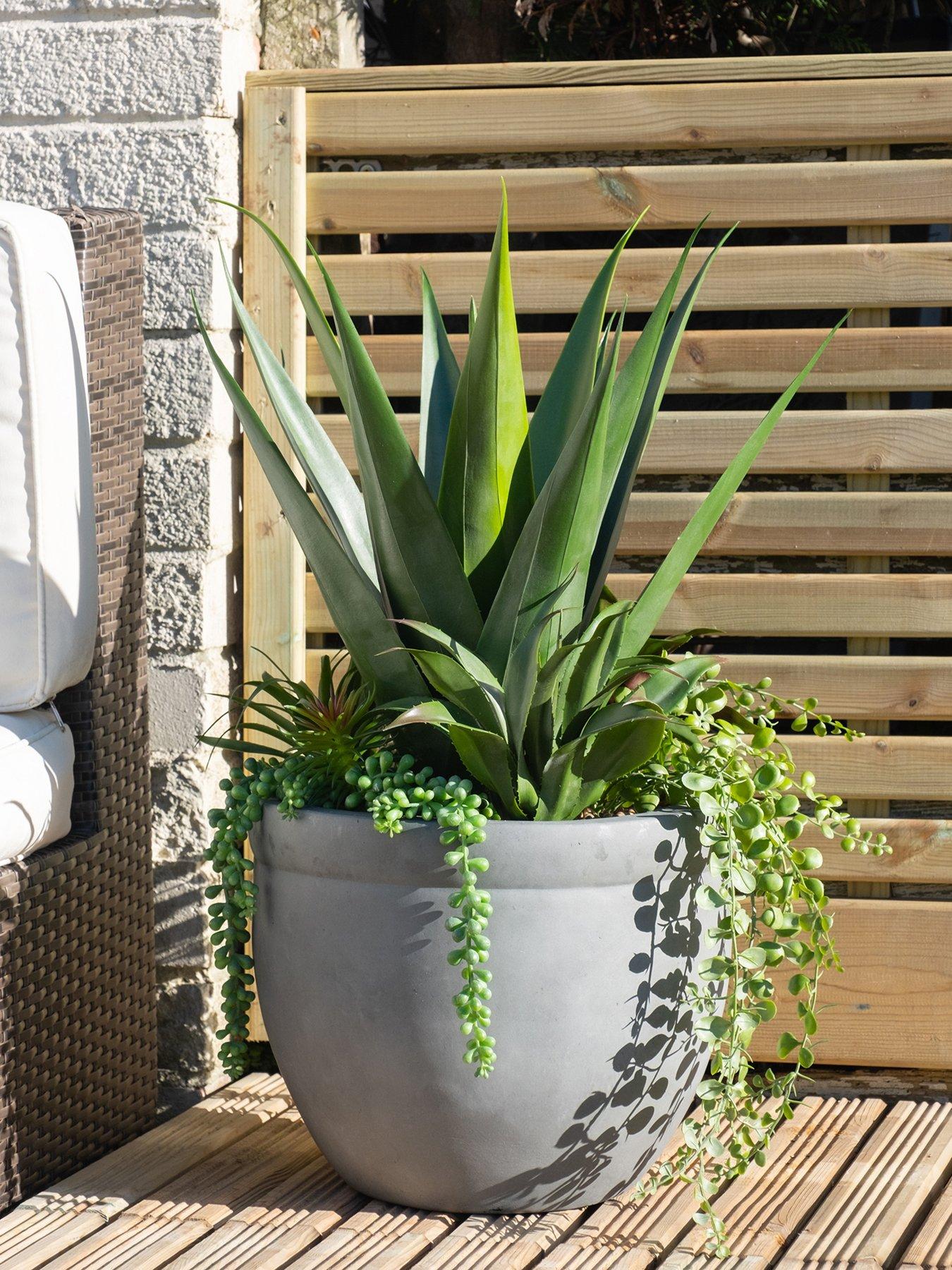 Scottish Everlastings OUTDOOR 67cm Artificial Mixed Agave Container in Grey Pot