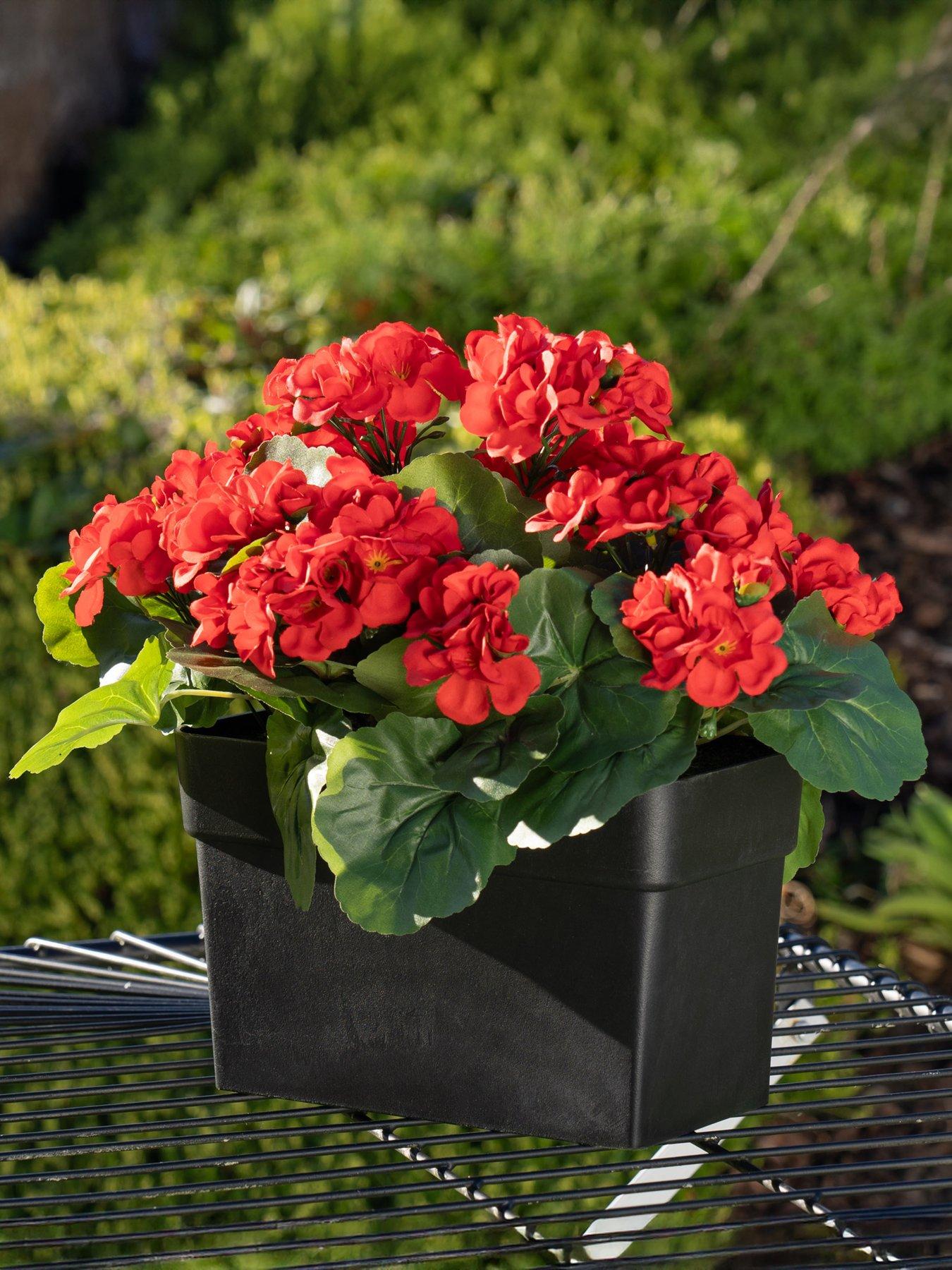 scottish-everlastings-outdoor-artificial-red-geranium-trough