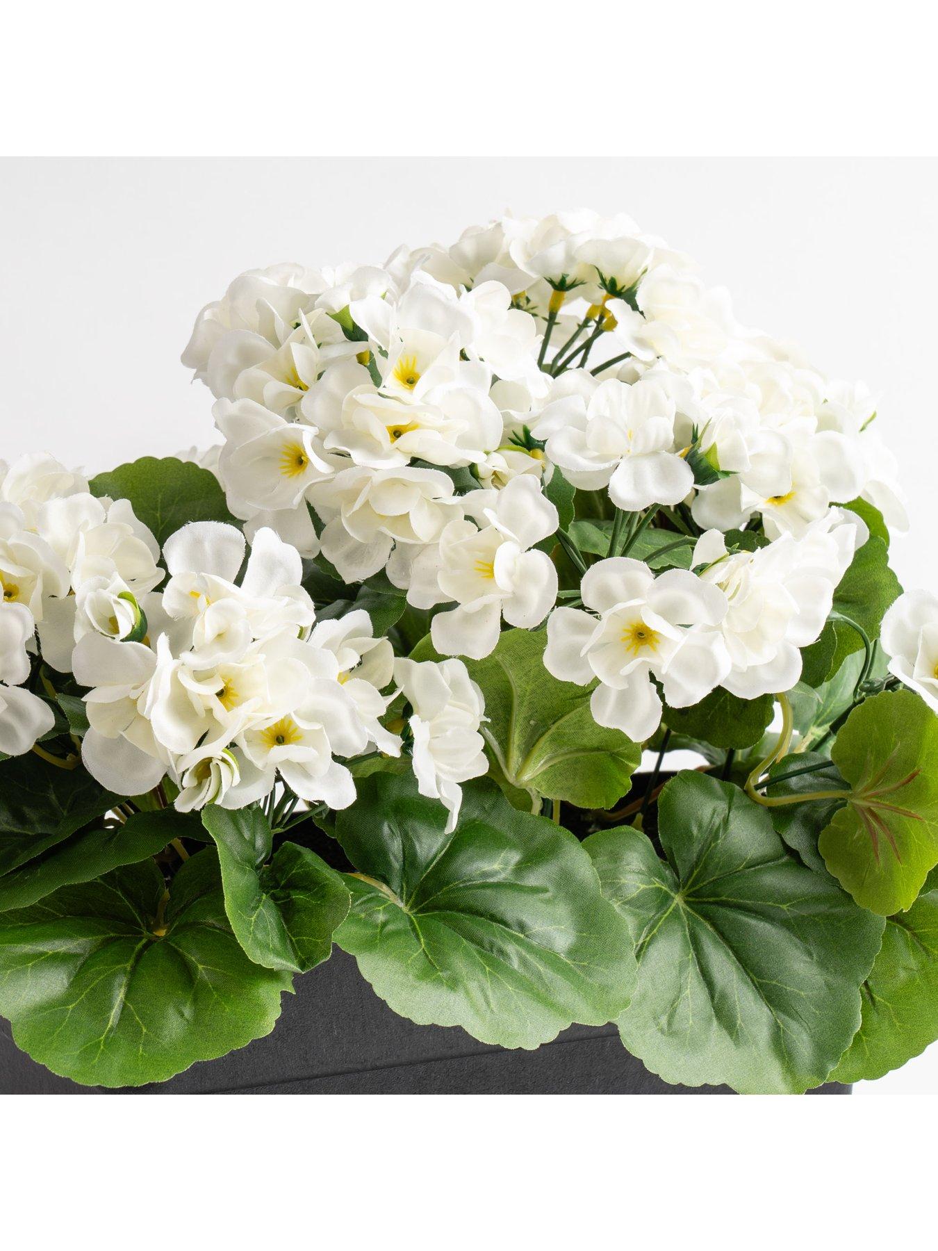  image of scottish-everlastings-outdoor-artificial-white-geranium-trough