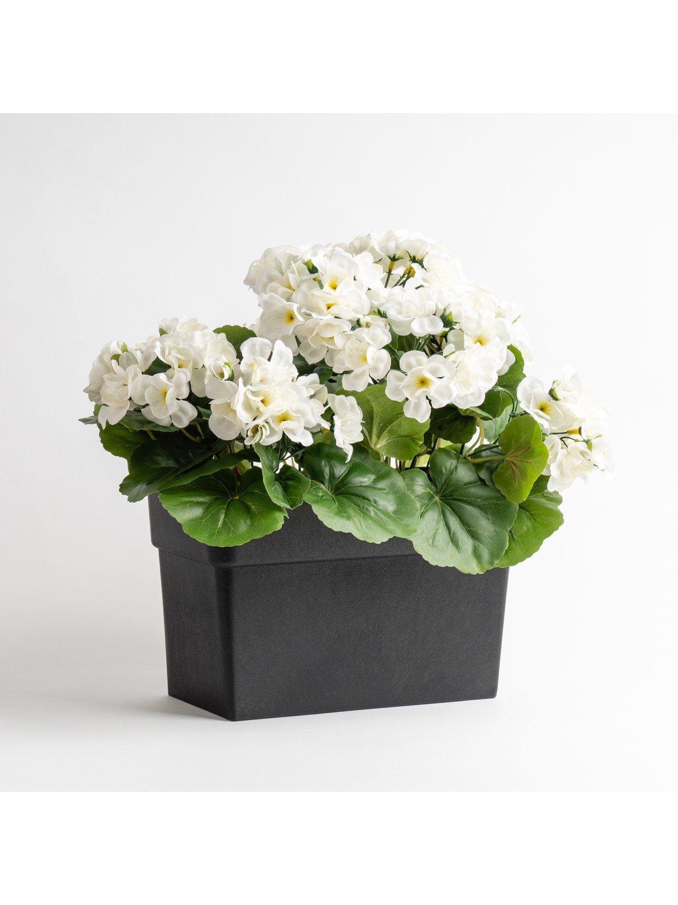 image of scottish-everlastings-outdoor-artificial-white-geranium-trough
