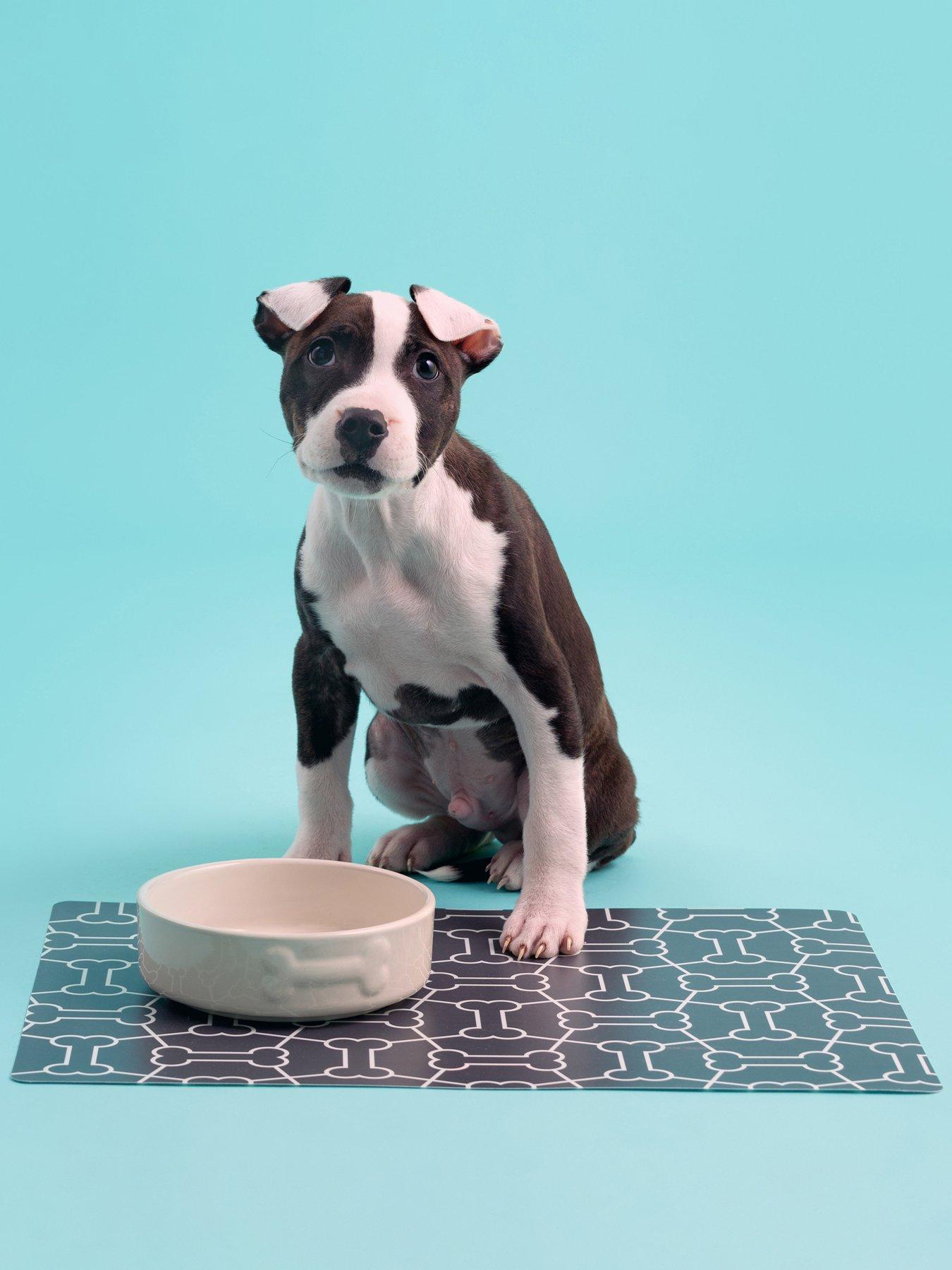 mason-cash-colourmix-set-of-2-cream-dog-bowls-placemat