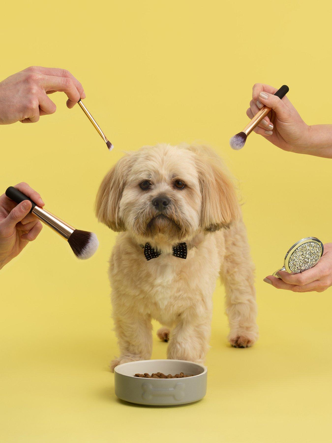 Image 1 of 5 of Mason Cash Colourmix Set Of 2 Grey Dog Bowls &amp; Placemat