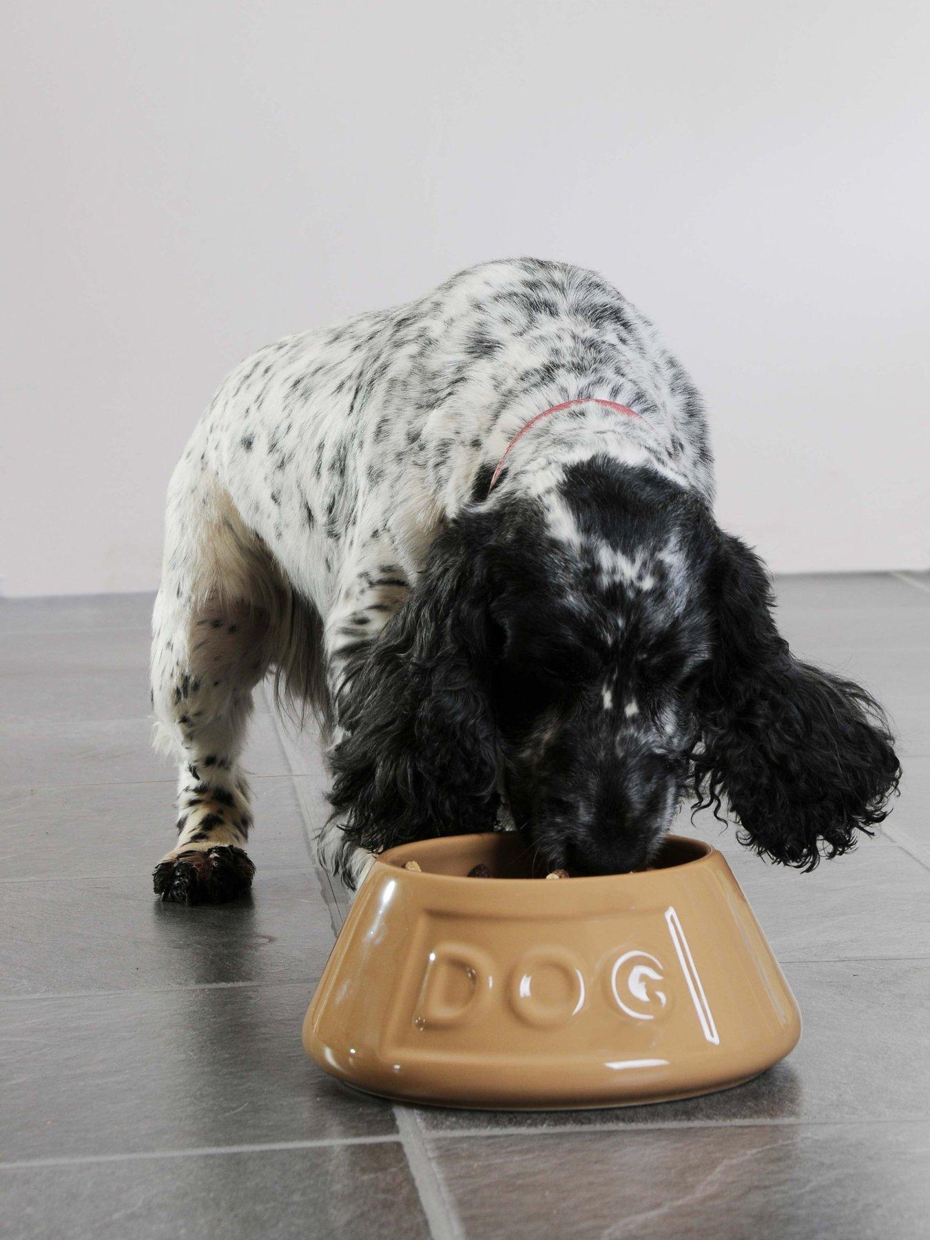 undefined Grey Non Tip Lettered Dog Bowl 21Cm