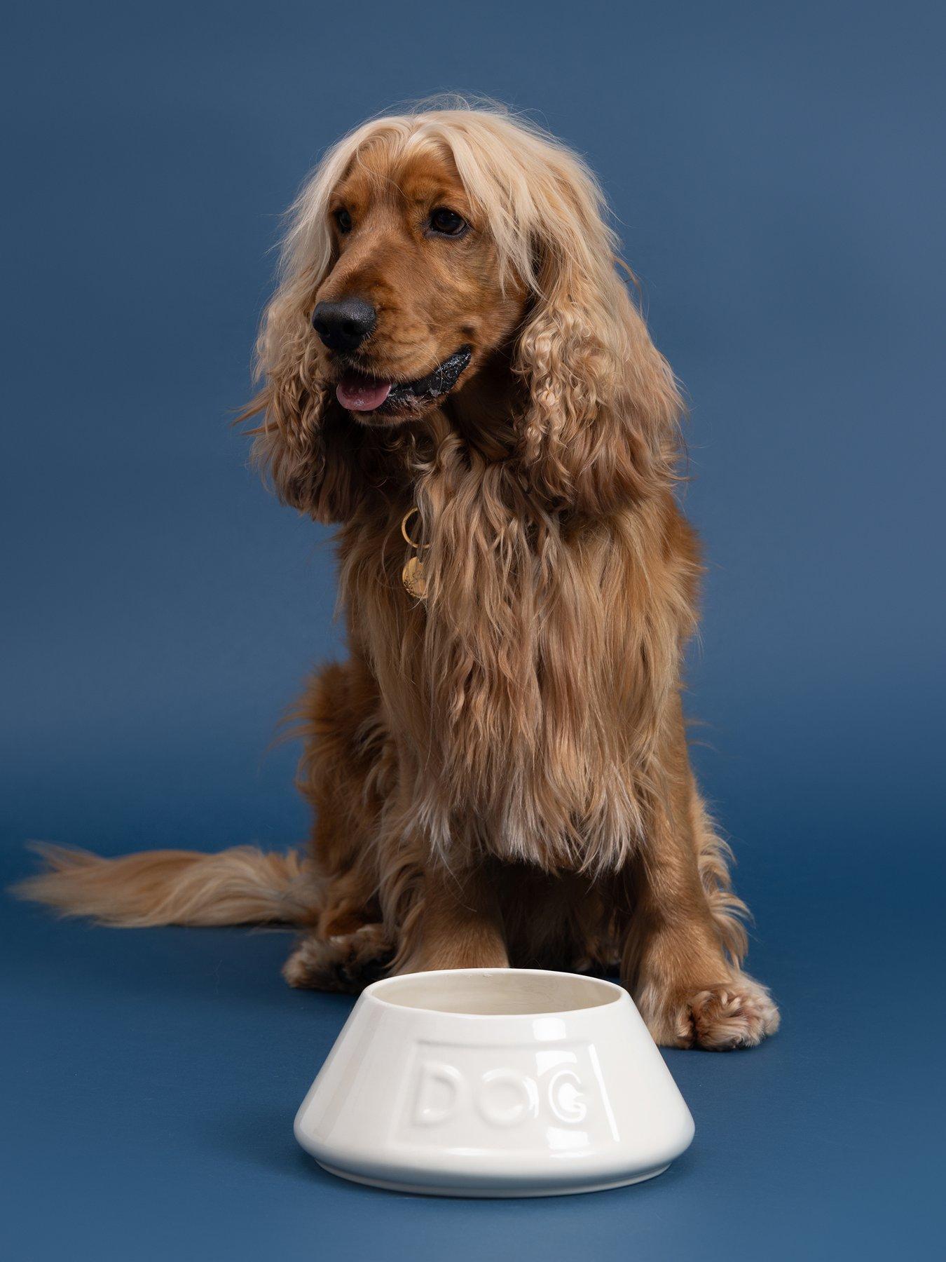 undefined Cream Non Tip Lettered Dog Bowl 21Cm