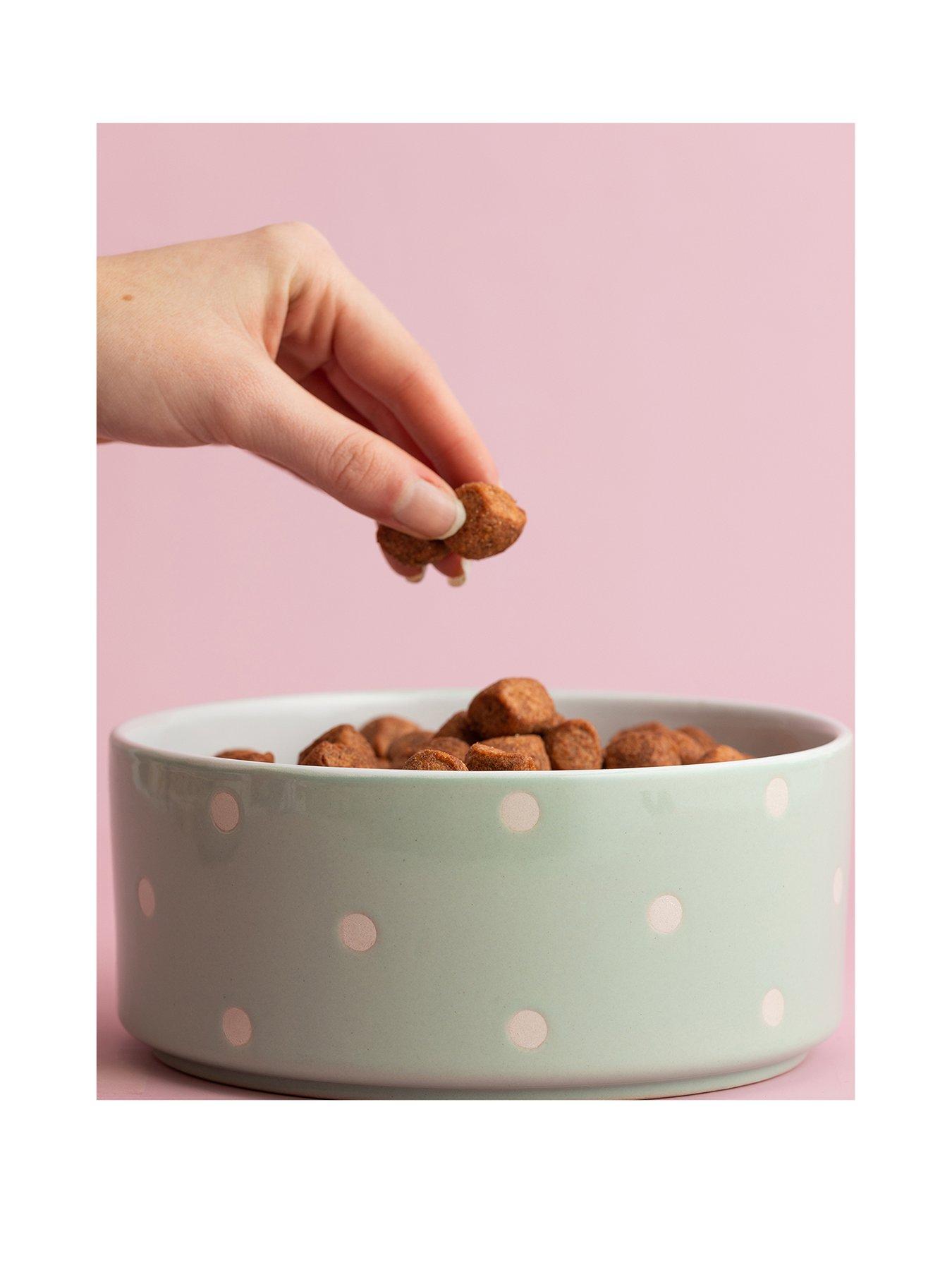  image of mason-cash-polka-dot-sage-set-of-2-dog-bowls-18cm