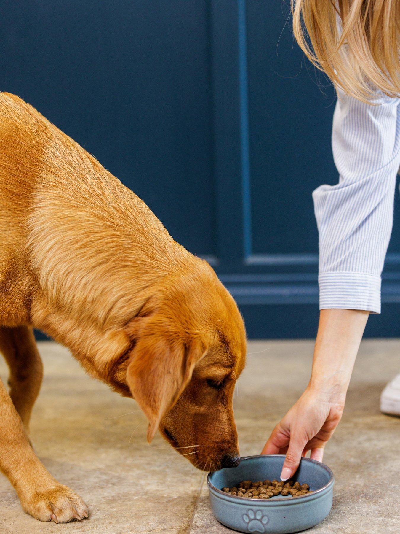 undefined Set Of 2 Reactive Paw Bowls 18Cm