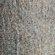 LIGHT_GREY