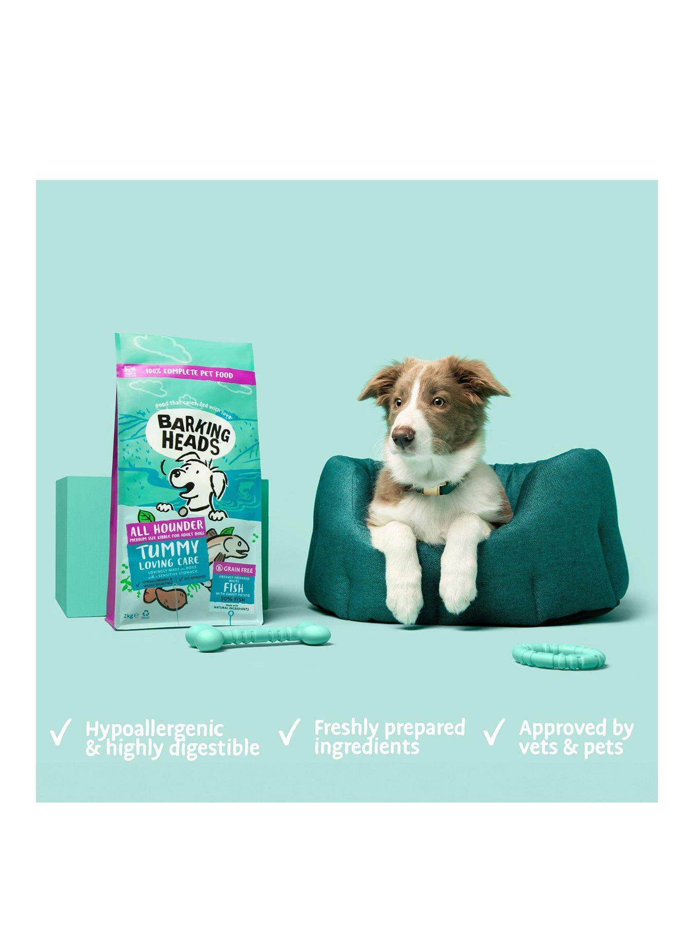  image of barking-heads-all-hounder-tummy-lovin-care-fish-2kg