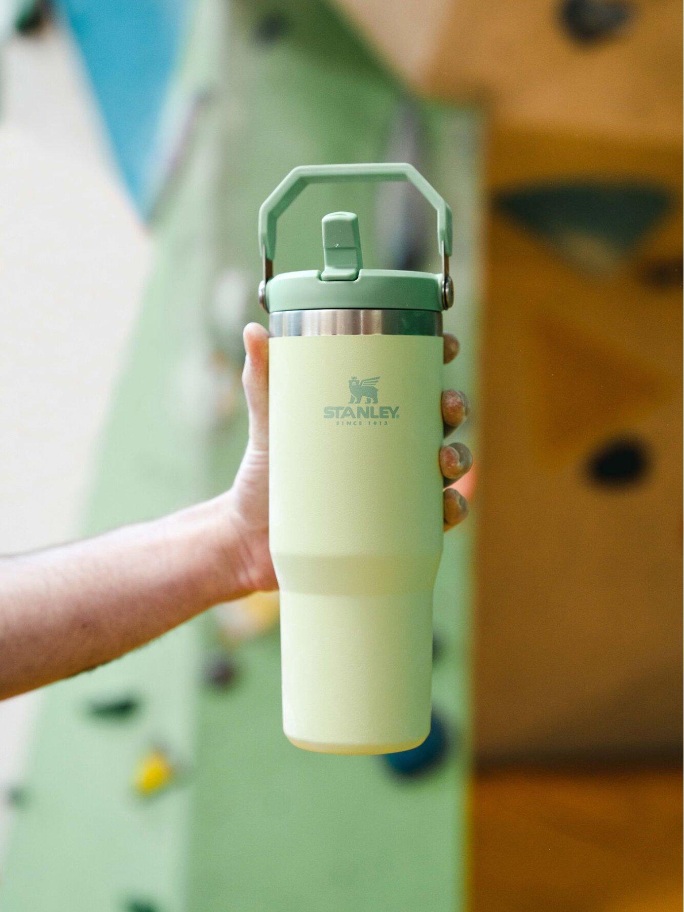 back image of stanley-iceflow-flip-straw-tumbler-089l