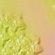 ONE_COLOUR