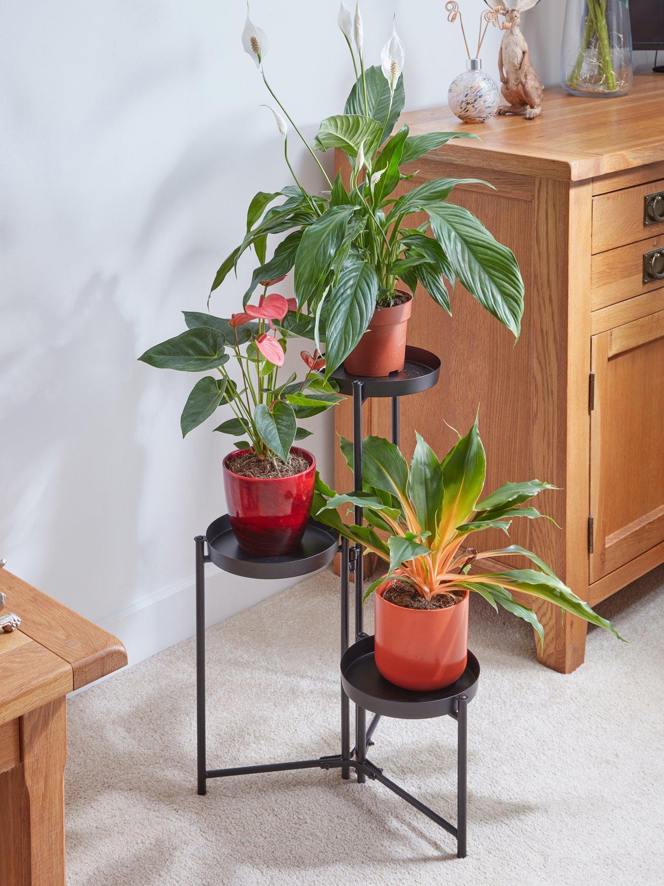  image of smart-garden-3-tier-plant-stand