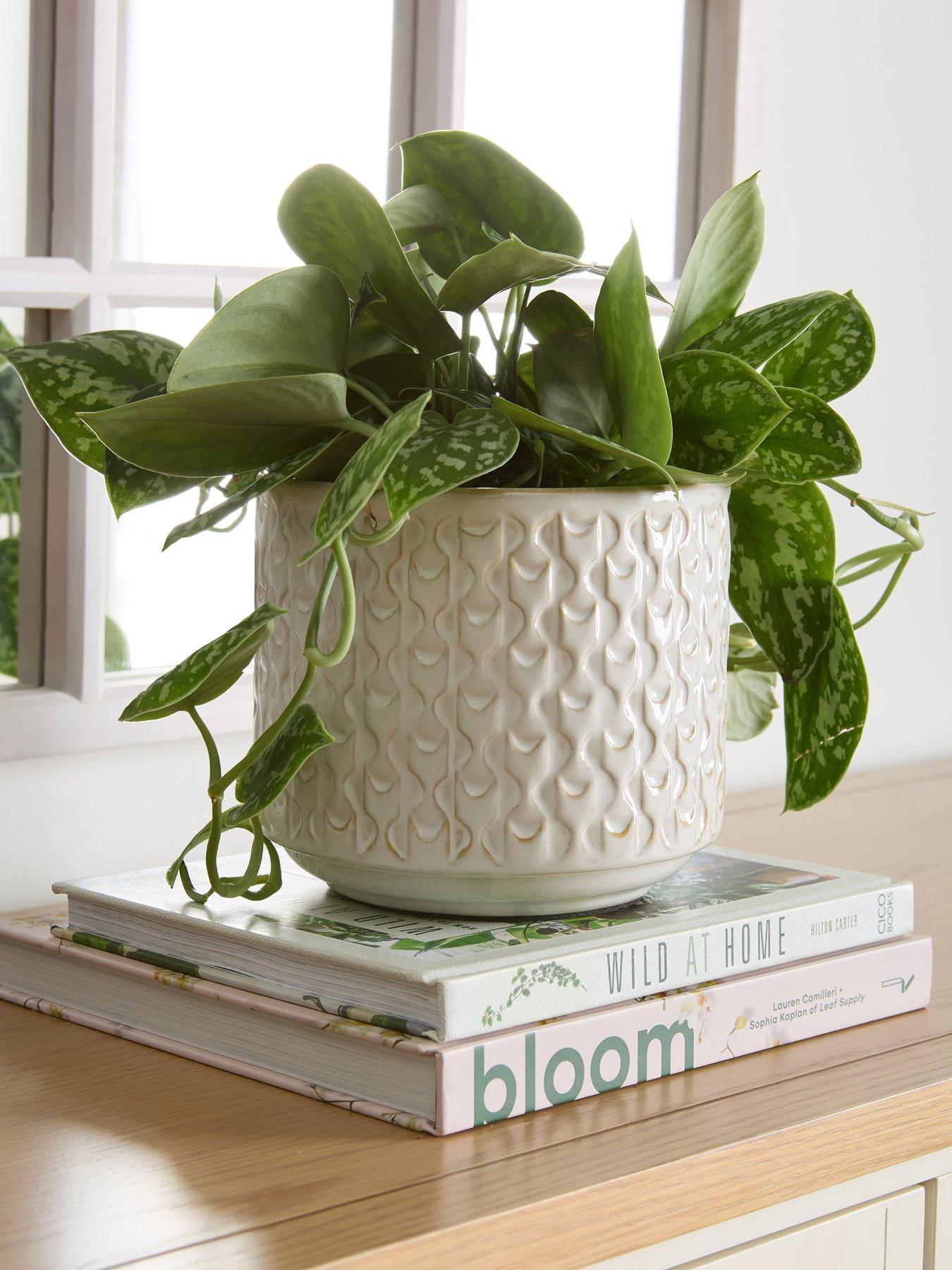 The Very Collection Ceramic Planter