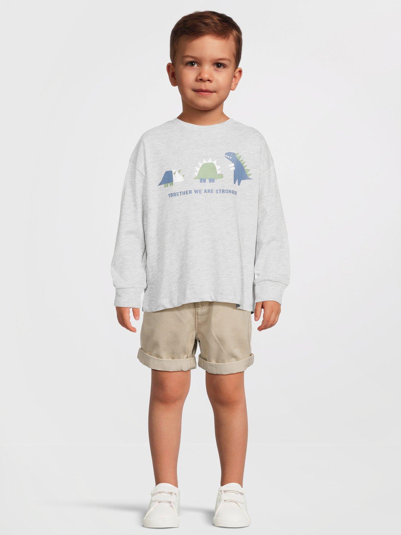 undefined Boys Long Sleeve Geo Dinosaur T-shirt - Grey Marl