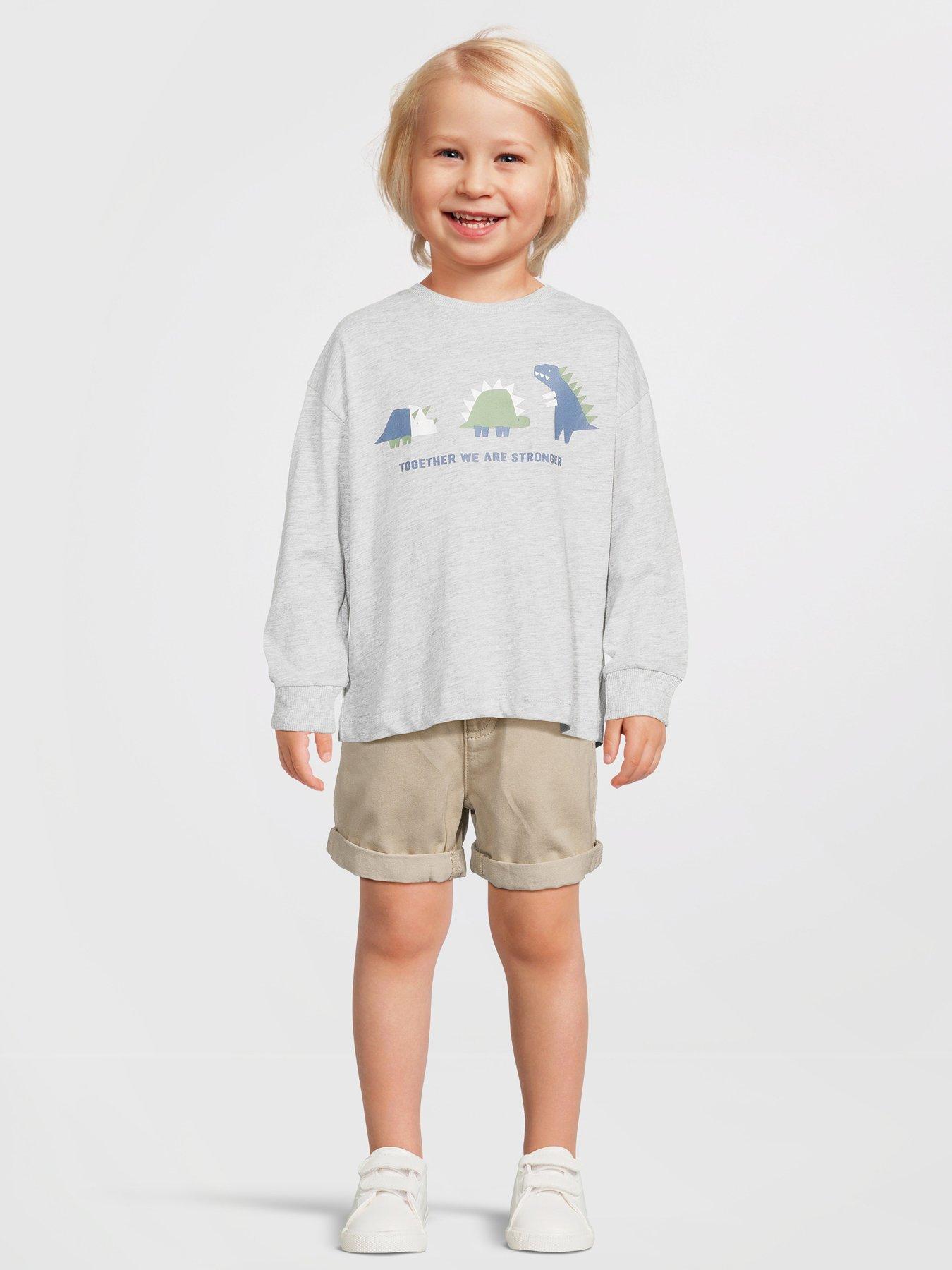 undefined Boys Long Sleeve Geo Dinosaur T-shirt - Grey Marl
