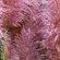 ONE_COLOUR