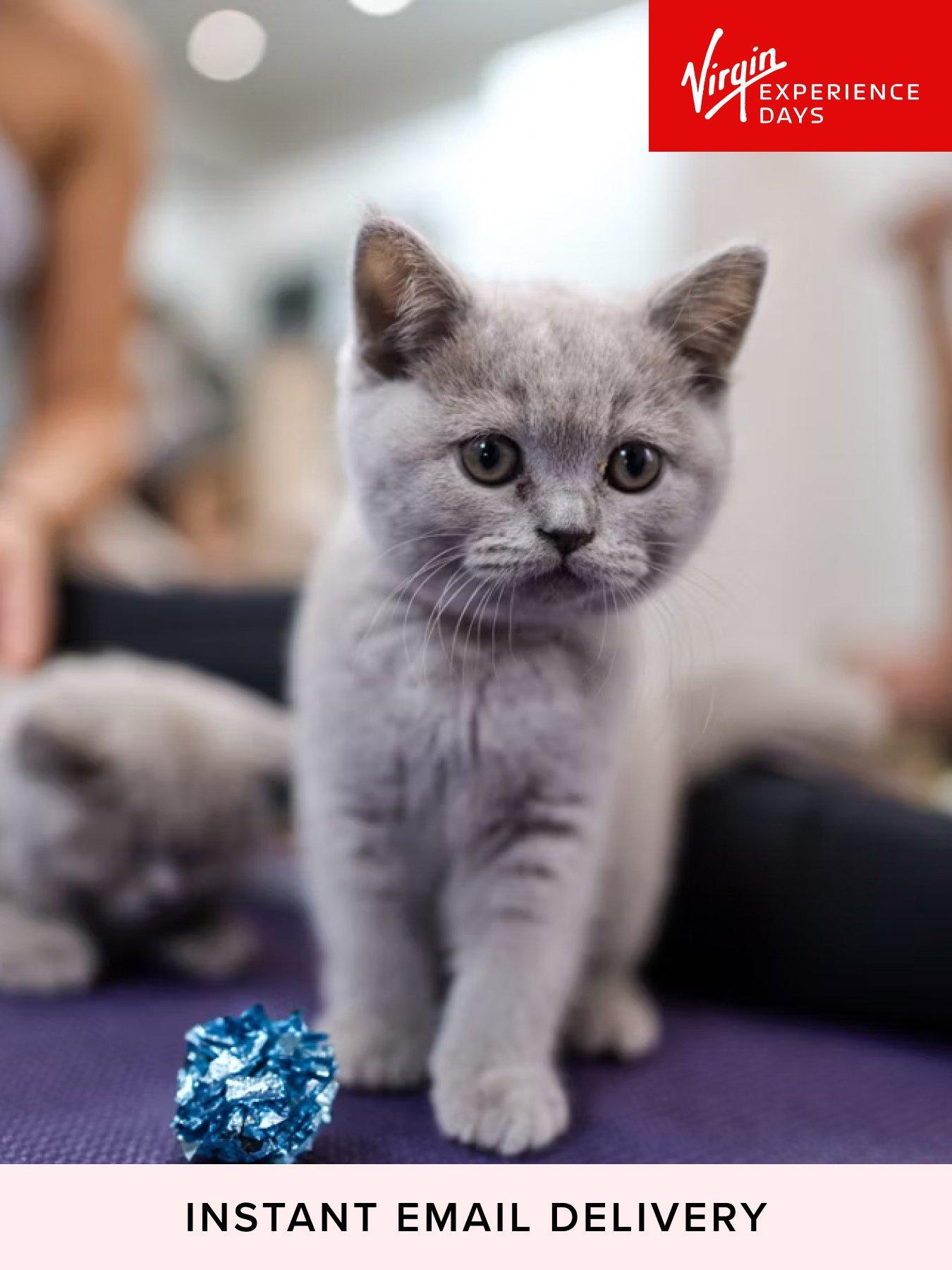 Virgin Experience Days London Kitty Yoga Session with Play Time for Two