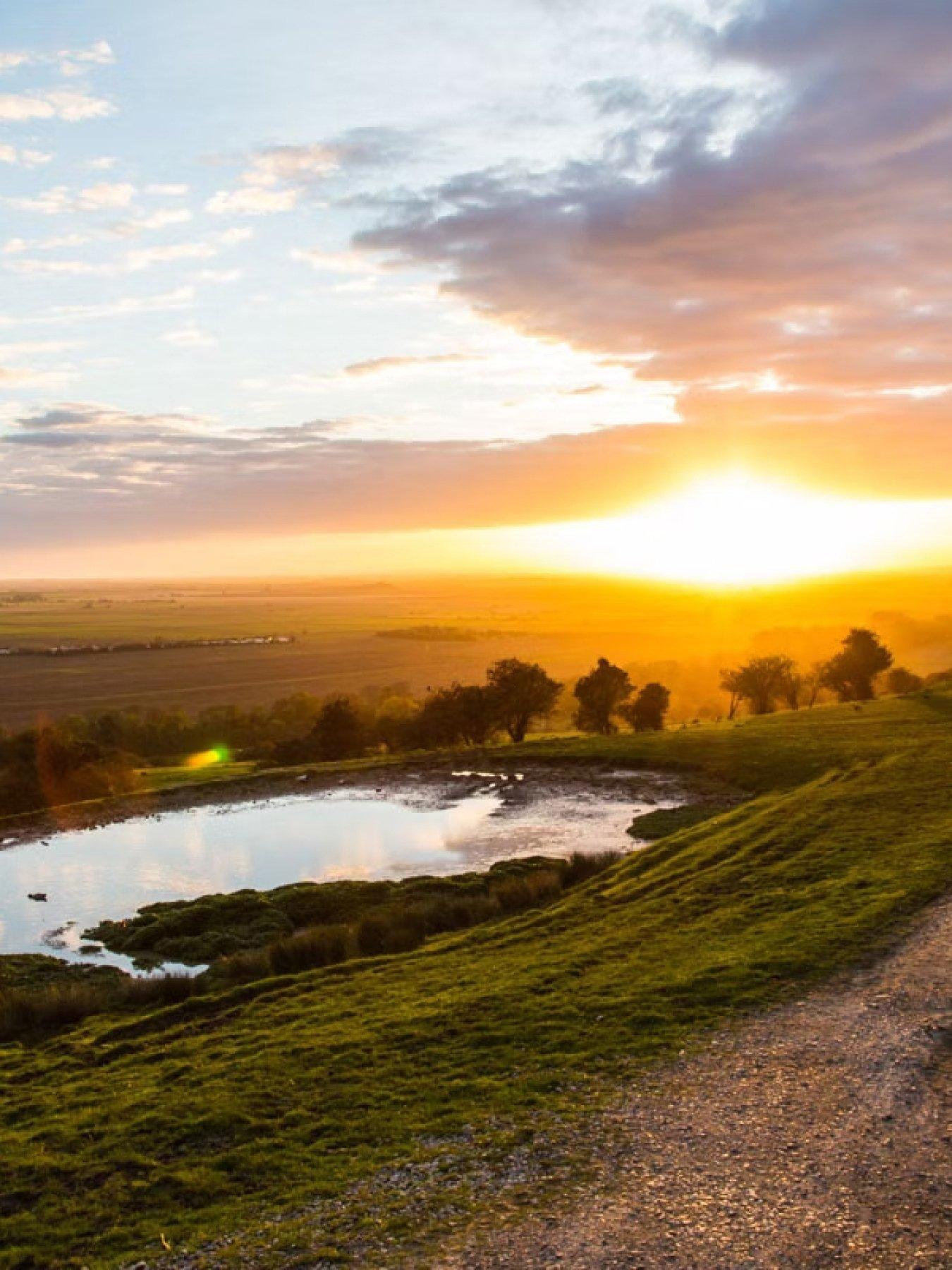  image of virgin-experience-days-shared-digital-animal-adoption-and-visit-to-port-lympne-reserve-with-truck-safari-for-2-digital-voucher