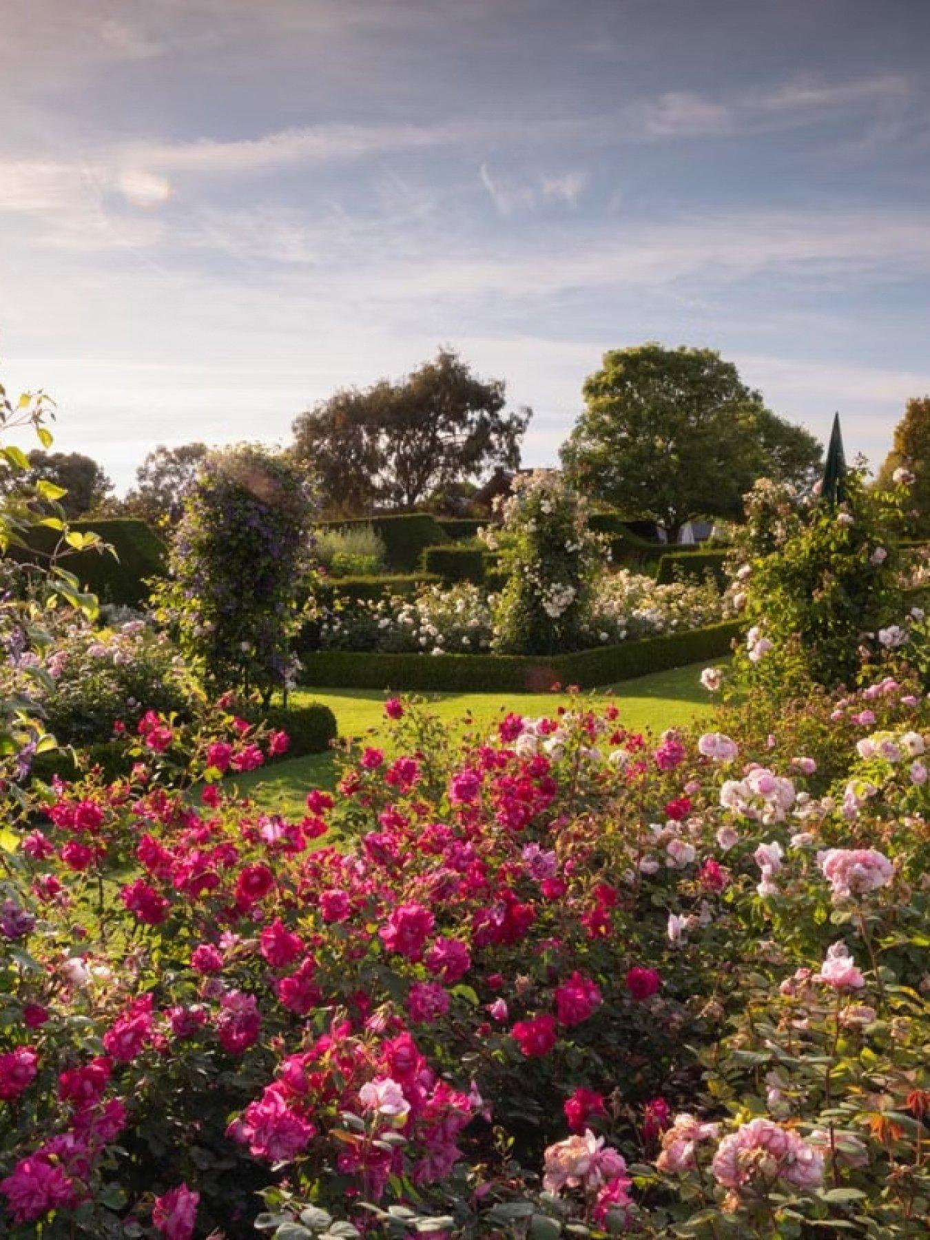  image of virgin-experience-days-rhs-garden-hyde-hall-visit-for-two-essex