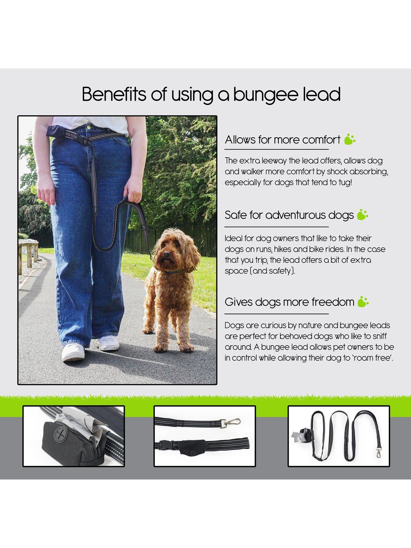 undefined Dog Reflective Waist Exercise Lead/Running With Zip Poop Bag Dispenser