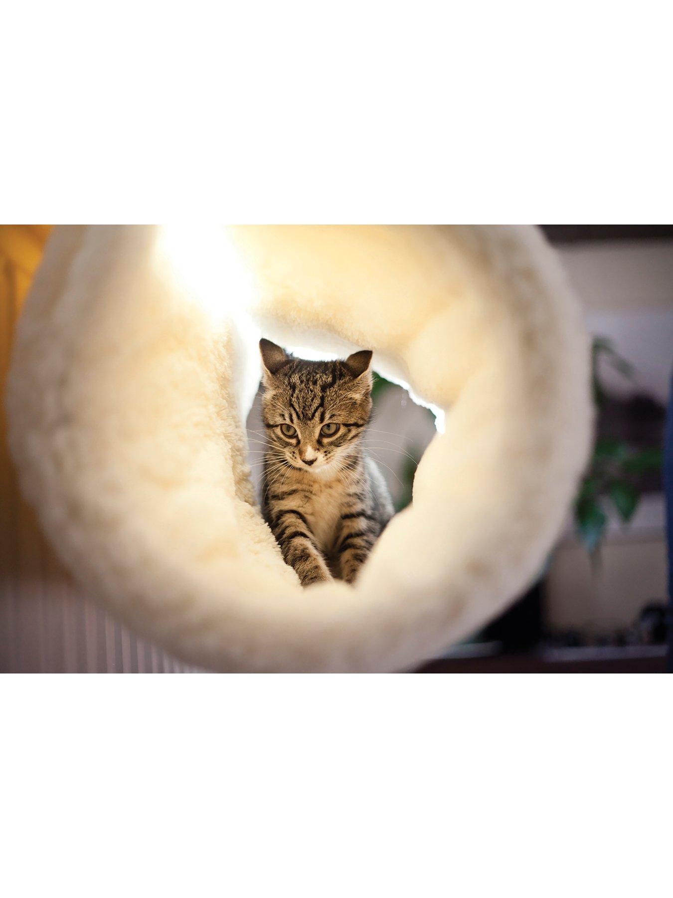Image 4 of 6 of Rosewood Luxury Radiator Cat Bed