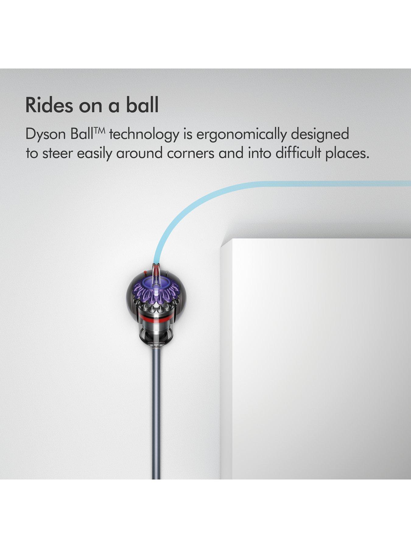  image of dyson-big-ball-animal-2
