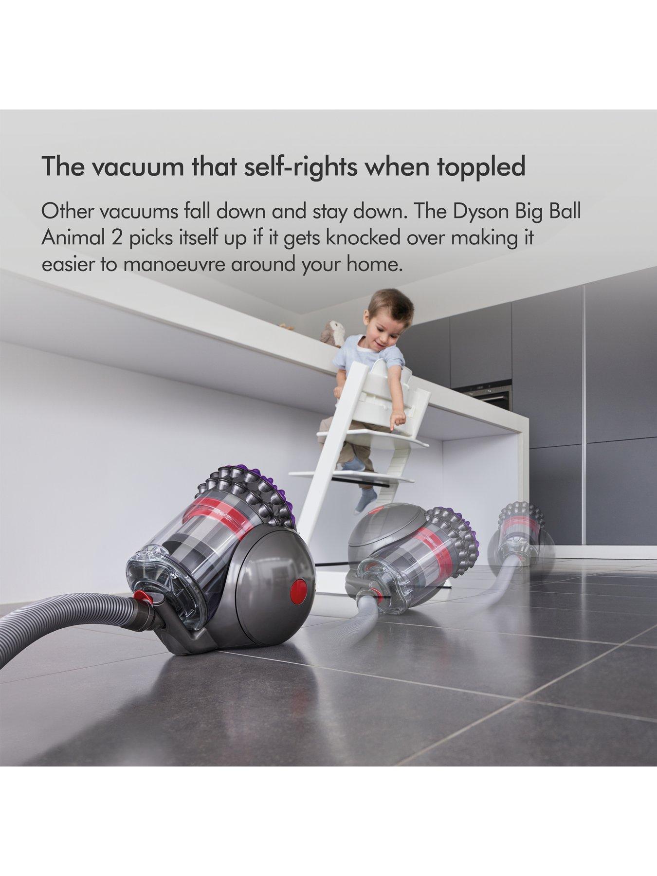 Image 6 of 7 of Dyson Big Ball Animal 2