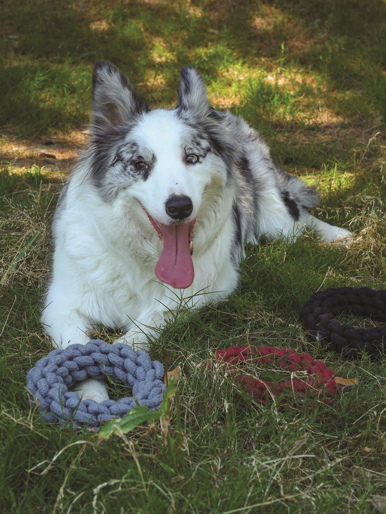 Image 1 of 6 of M-Pets Coto Grey Loop Bar 34cm/ Coto Grey Ring 18cm