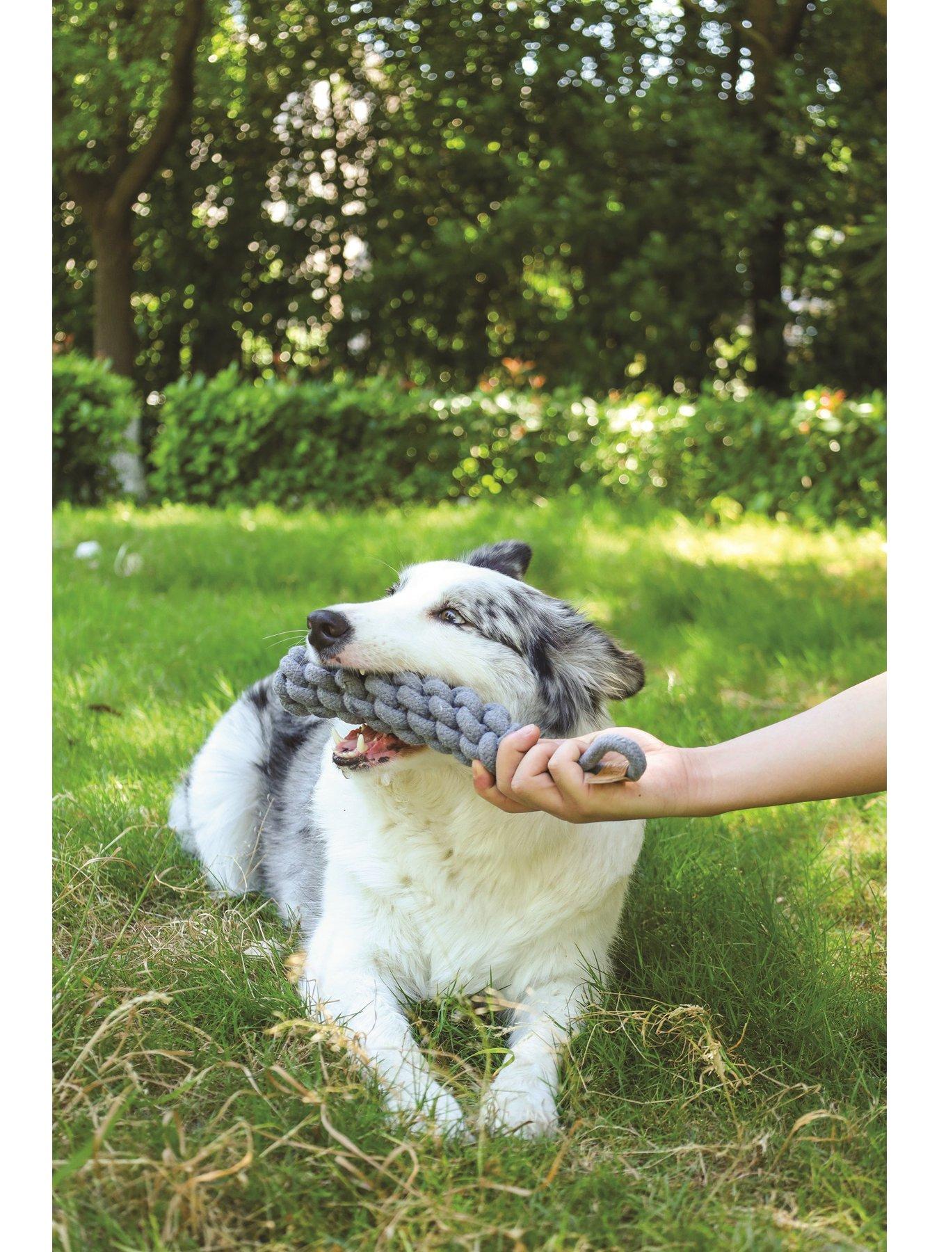 Image 5 of 6 of M-Pets Coto Grey Loop Bar 34cm/ Coto Grey Ring 18cm