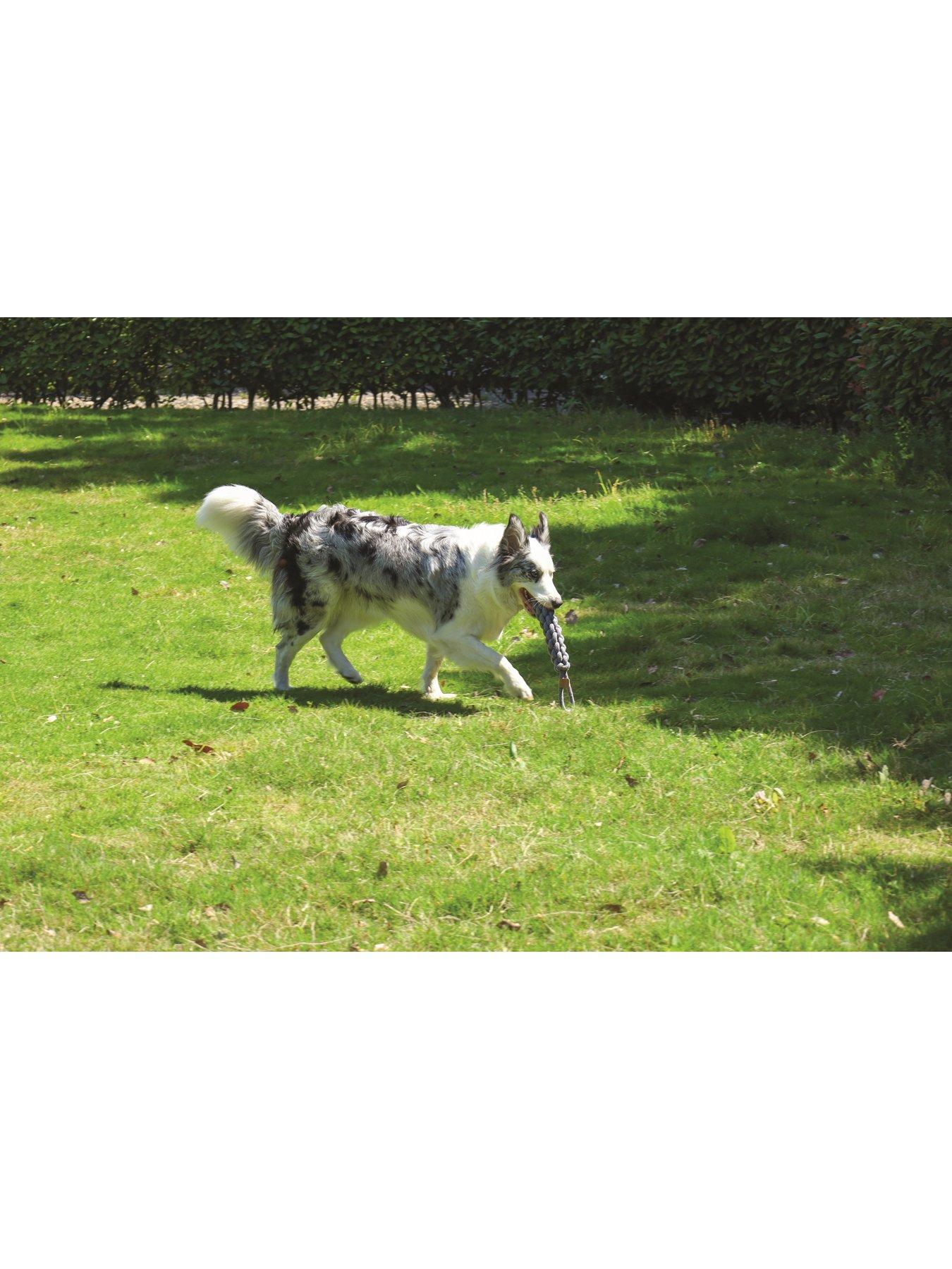 Image 6 of 6 of M-Pets Coto Grey Loop Bar 34cm/ Coto Grey Ring 18cm