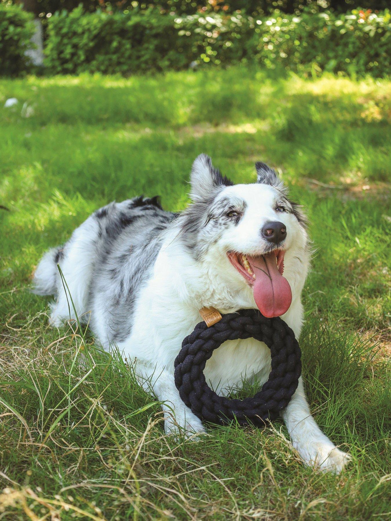 M-Pets Coto Black Loop Bar 34 Cm/ Coto Black Ring 18 Cm