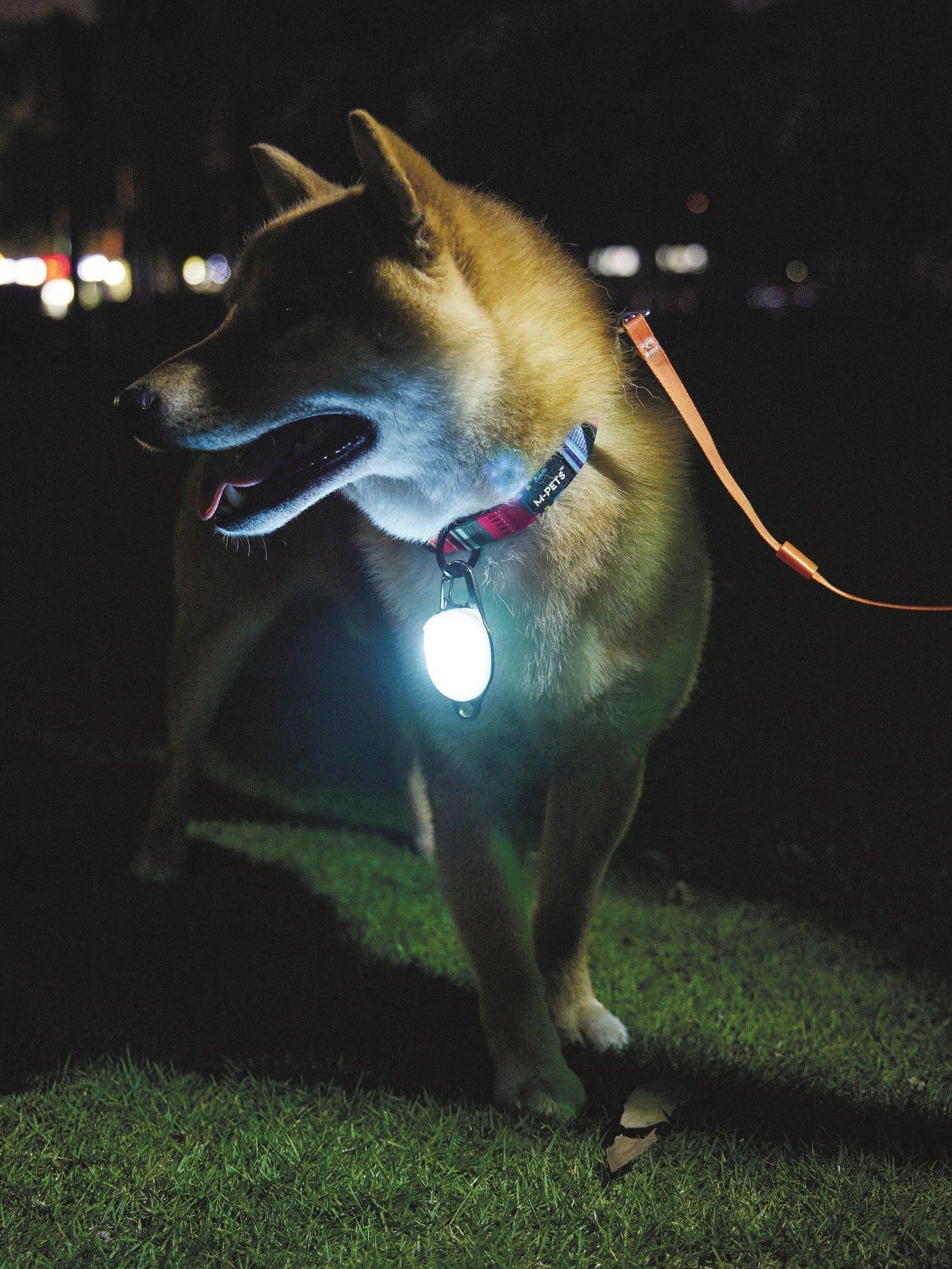  image of m-pets-rechargeable-led-jewel-for-dog-white-2-pack