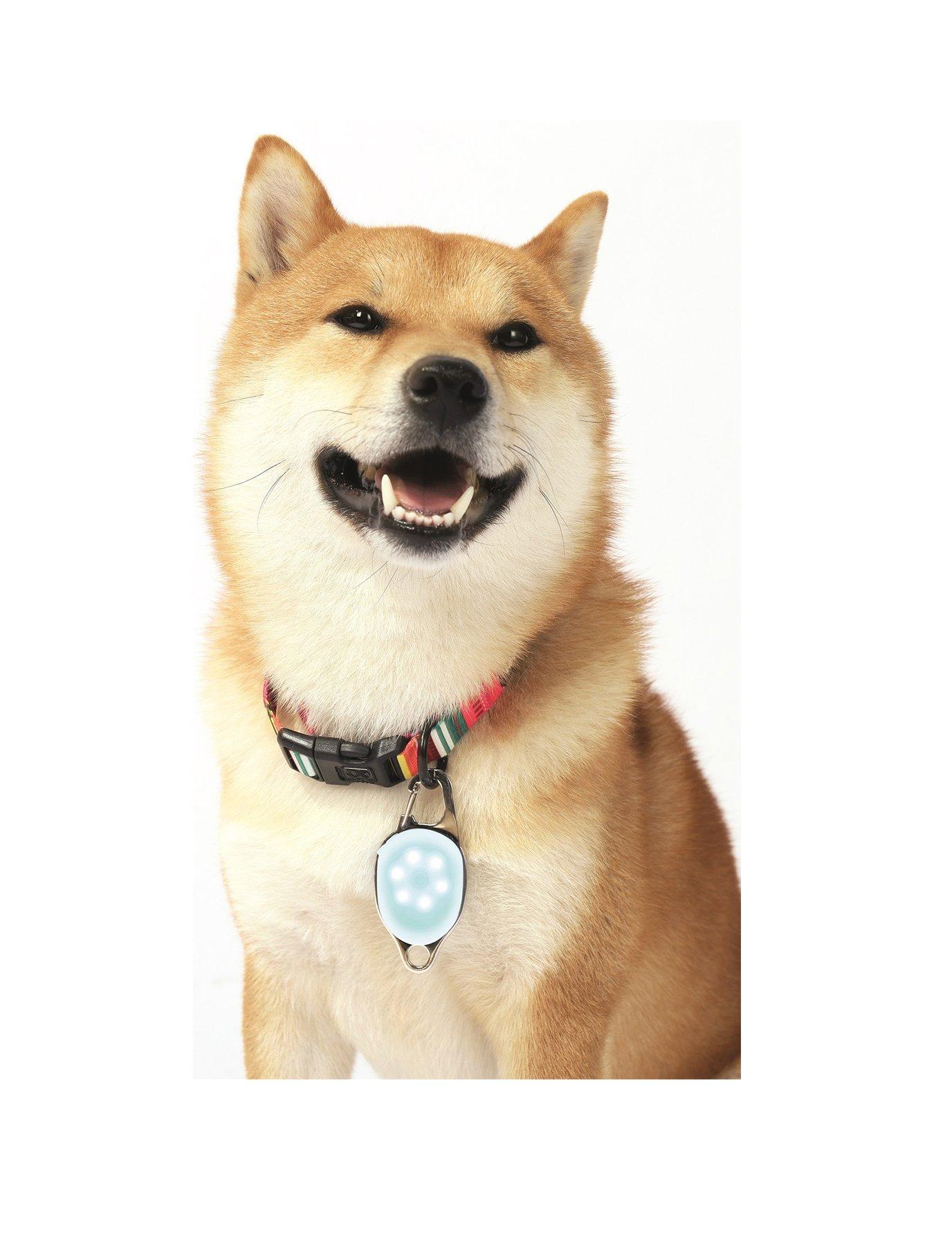  image of m-pets-rechargeable-led-jewel-for-dog-white-2-pack