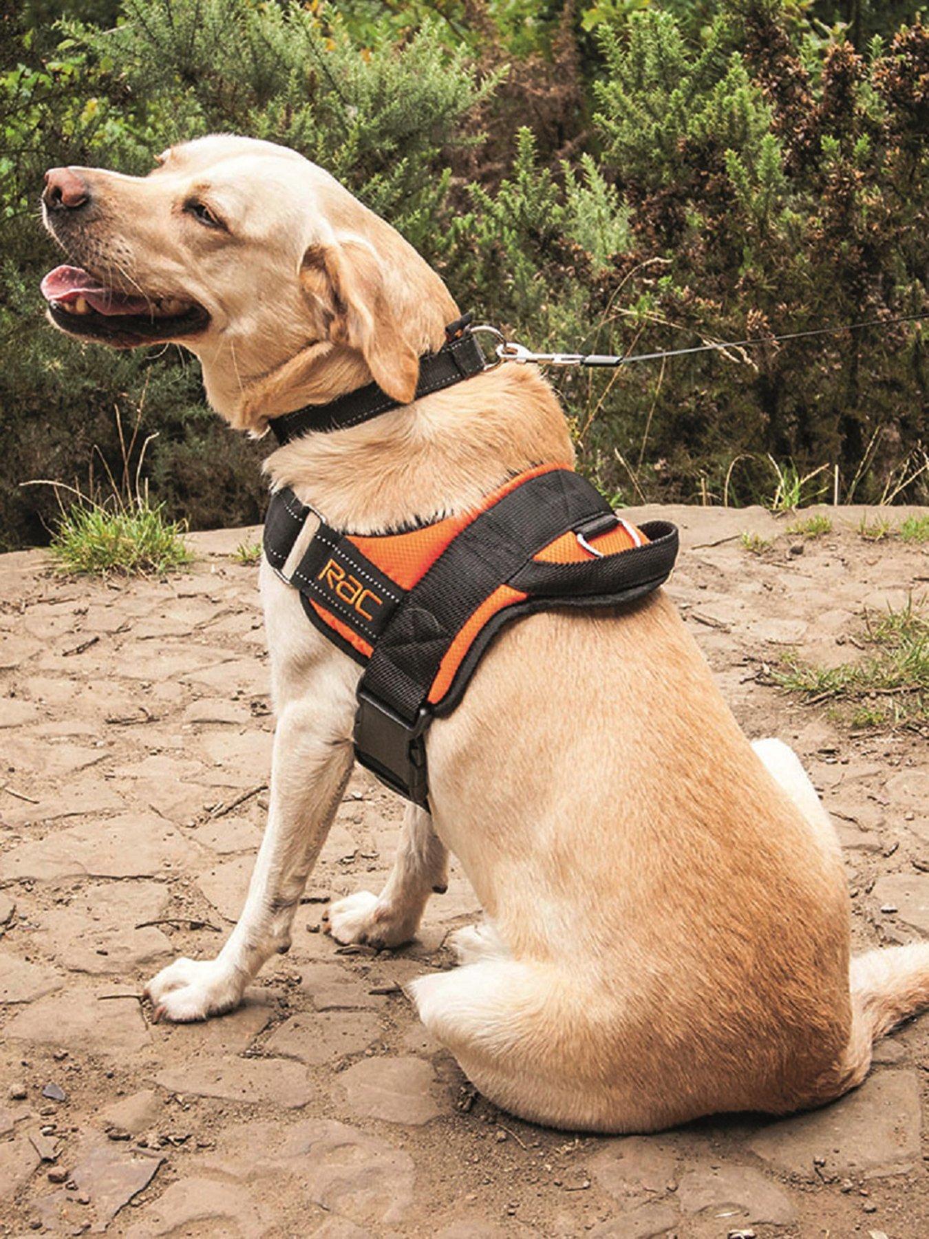 RAC Car Harness - Medium