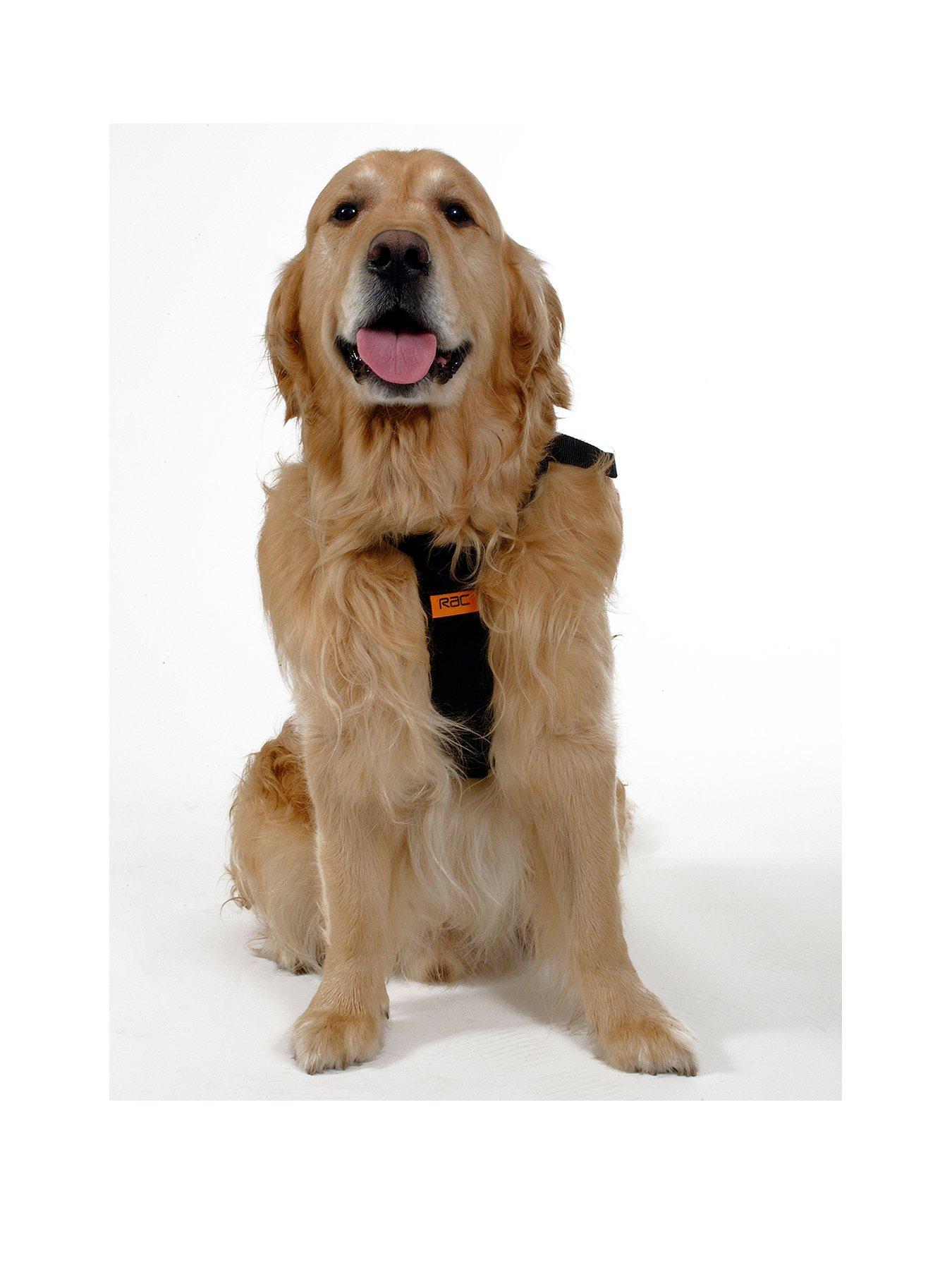 rac-car-harness-extra-large