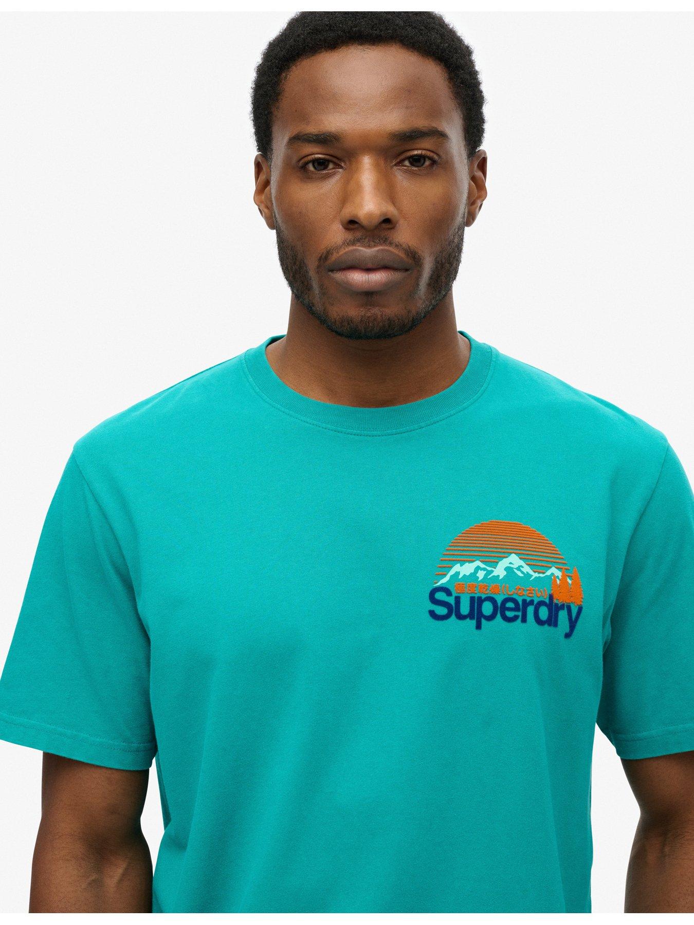  image of superdry-graphic-backprint-short-sleeve-t-shirt-blue