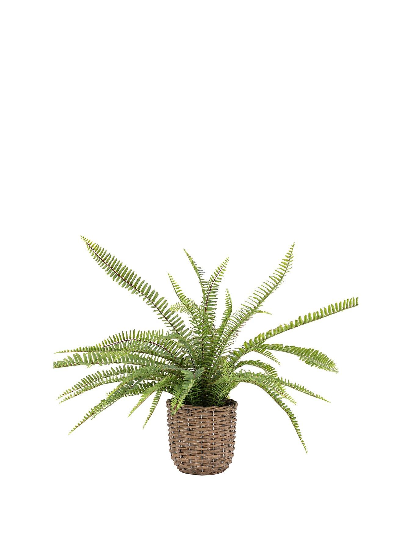  image of gallery-direct-artificial-fern-plant-in-pot