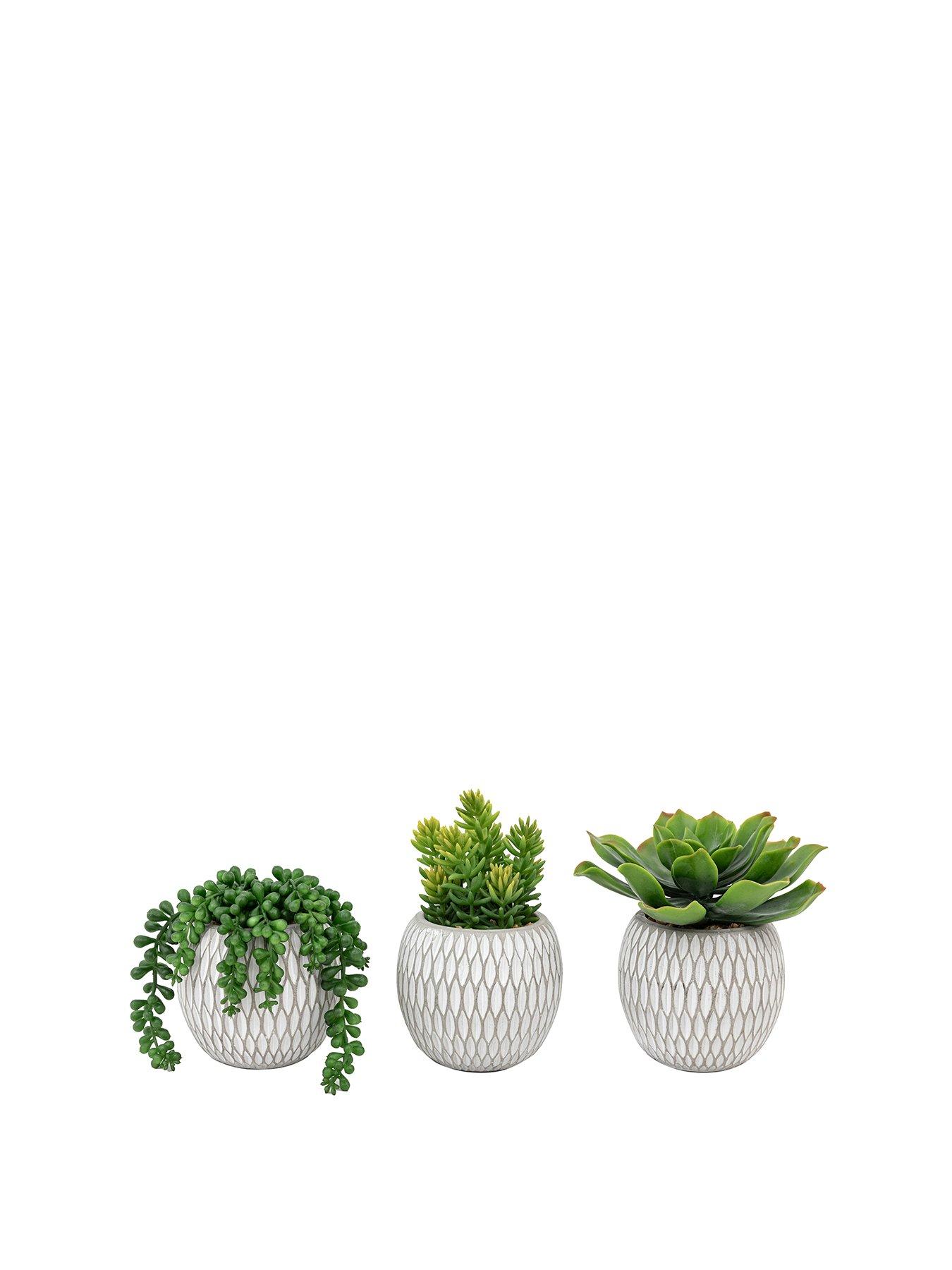 image of gallery-small-succulents-ceramic-pots-set-of-3
