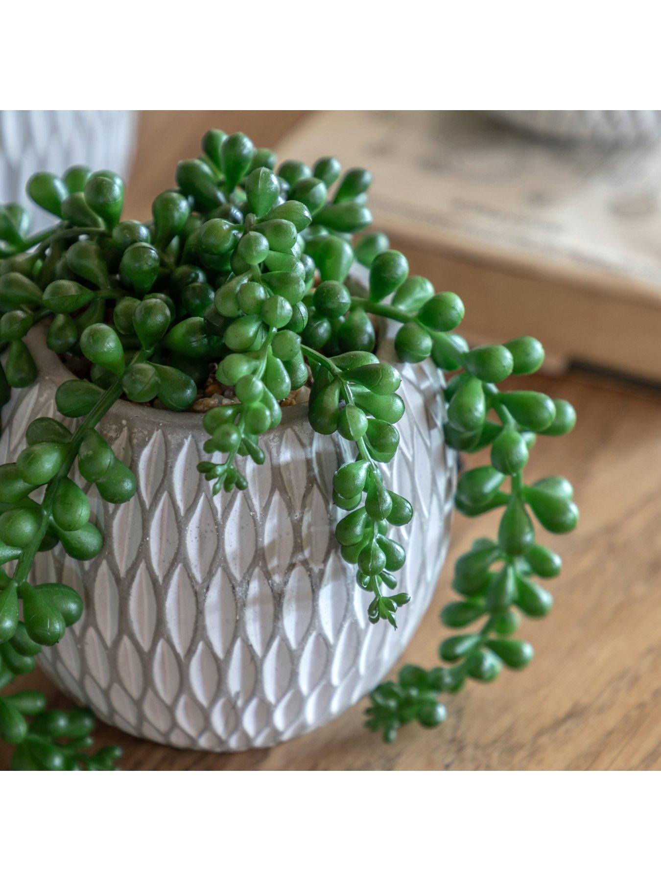  image of gallery-small-succulents-ceramic-pots-set-of-3