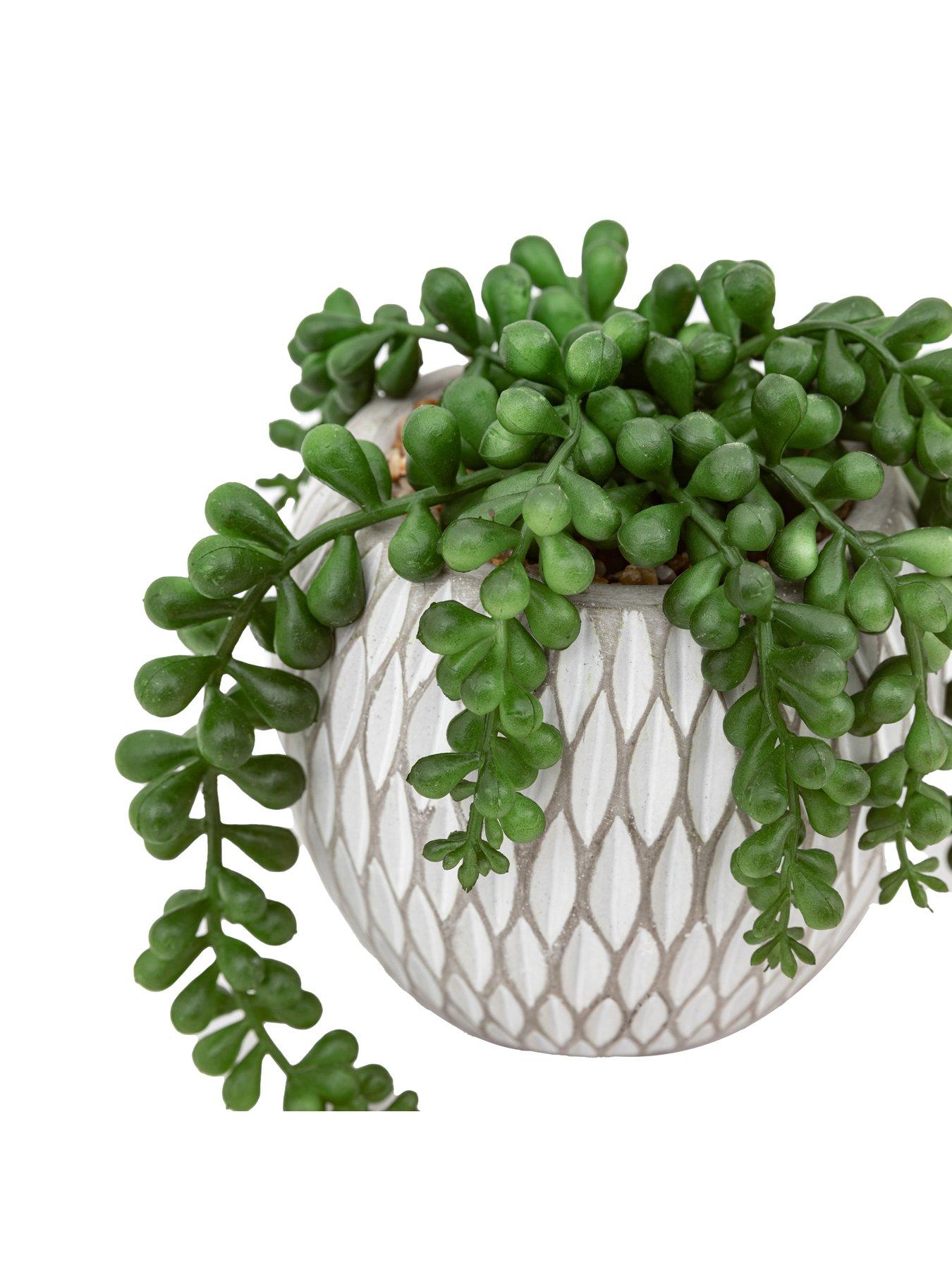  image of gallery-small-succulents-ceramic-pots-set-of-3