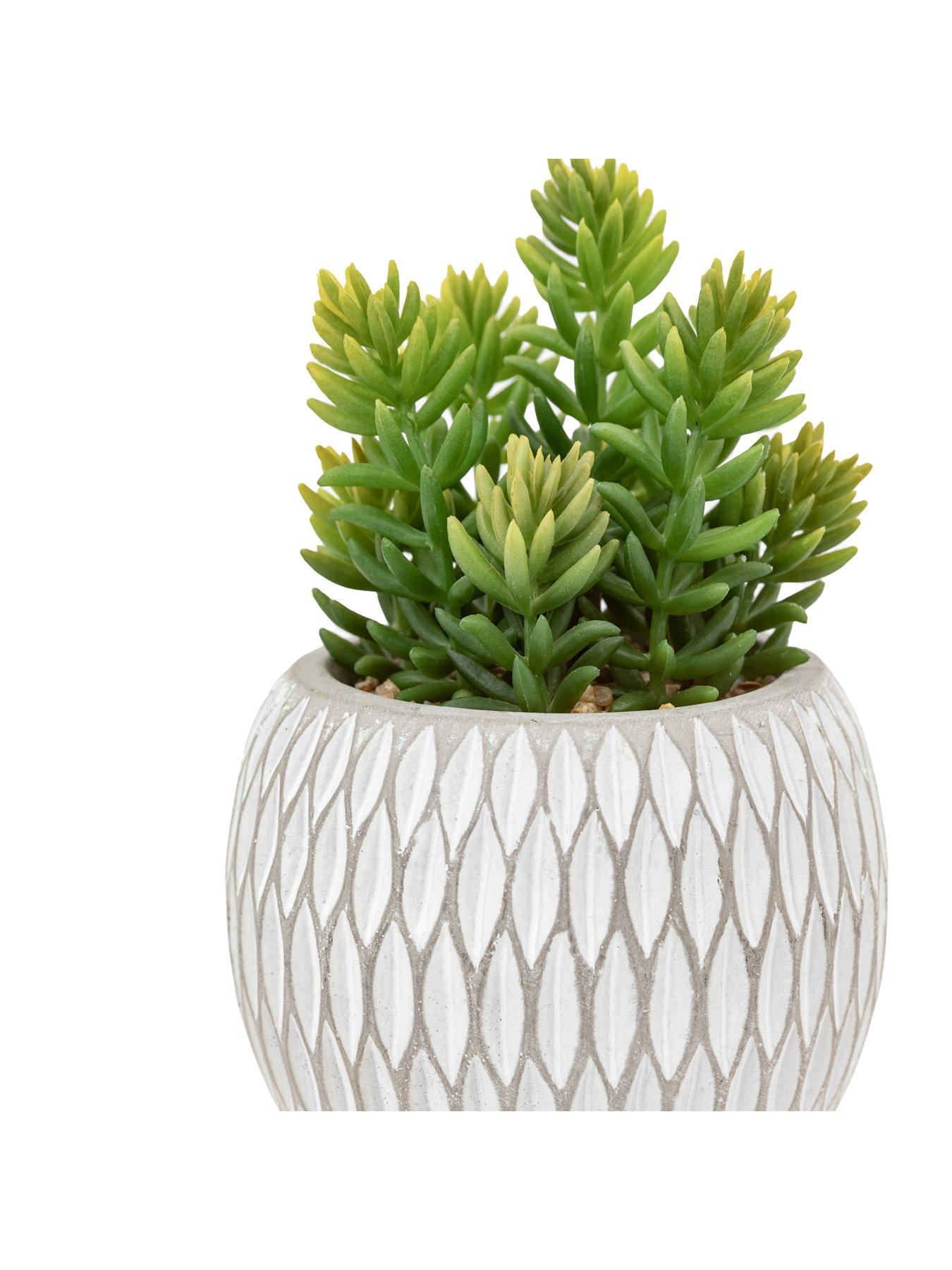  image of gallery-small-succulents-ceramic-pots-set-of-3