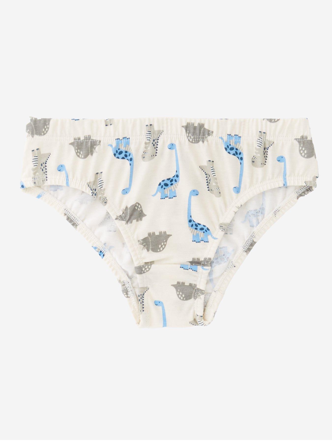 Image 3 of 4 of The Very Collection Boys 7 Pack Dino Briefs - Multi