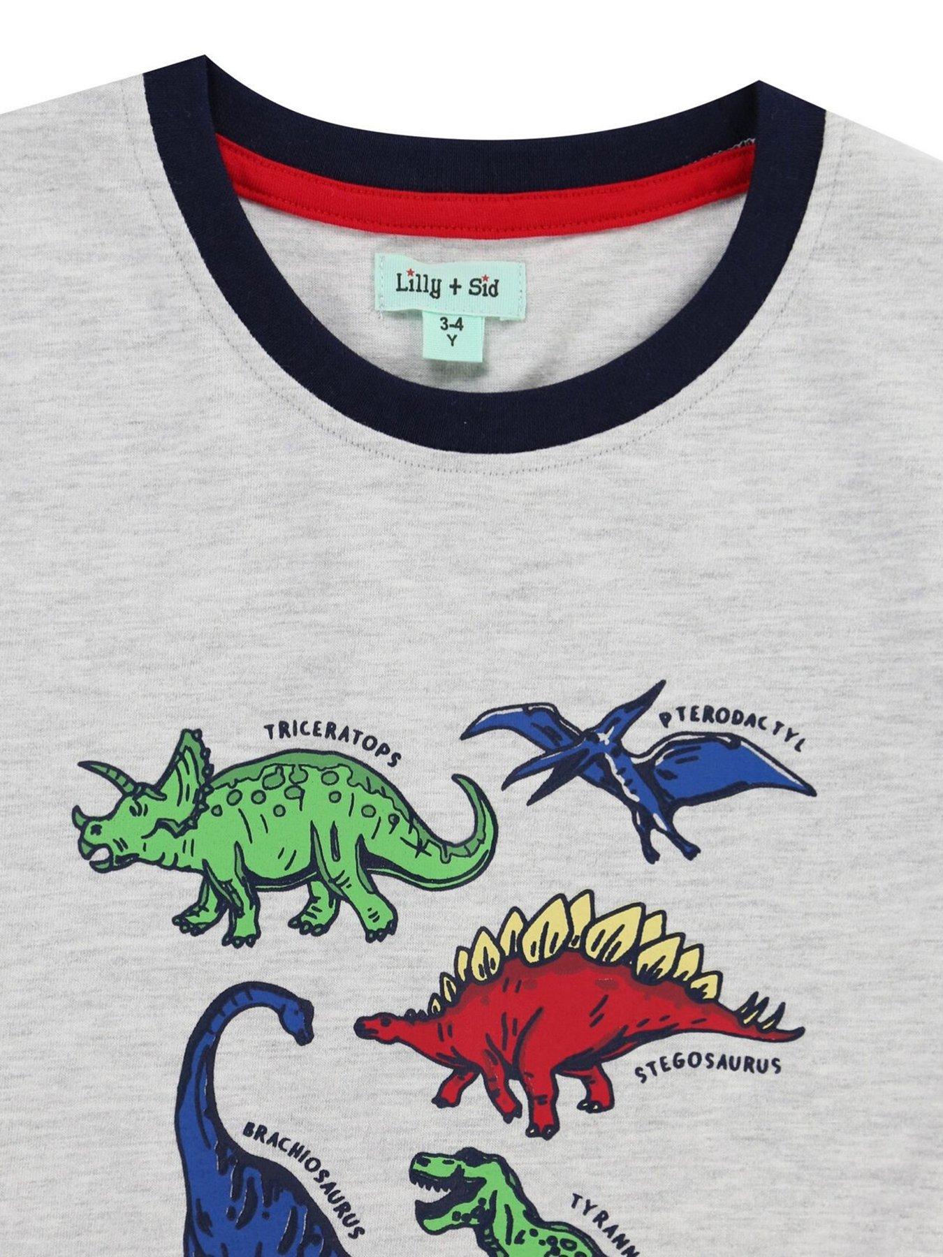  image of lilly-sid-boys-multi-dino-top-grey
